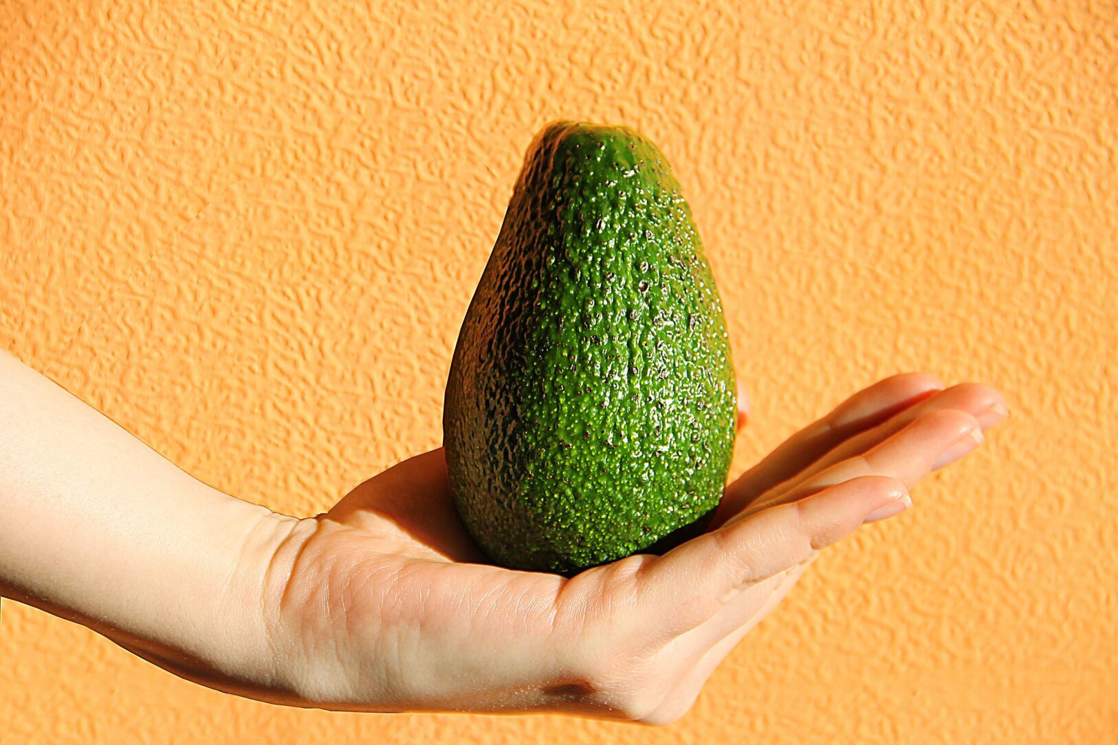 How Long Can Unrefrigerated Food Sit Out? We Look at 25 Foods