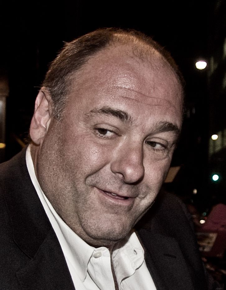 The Gandolfini Family