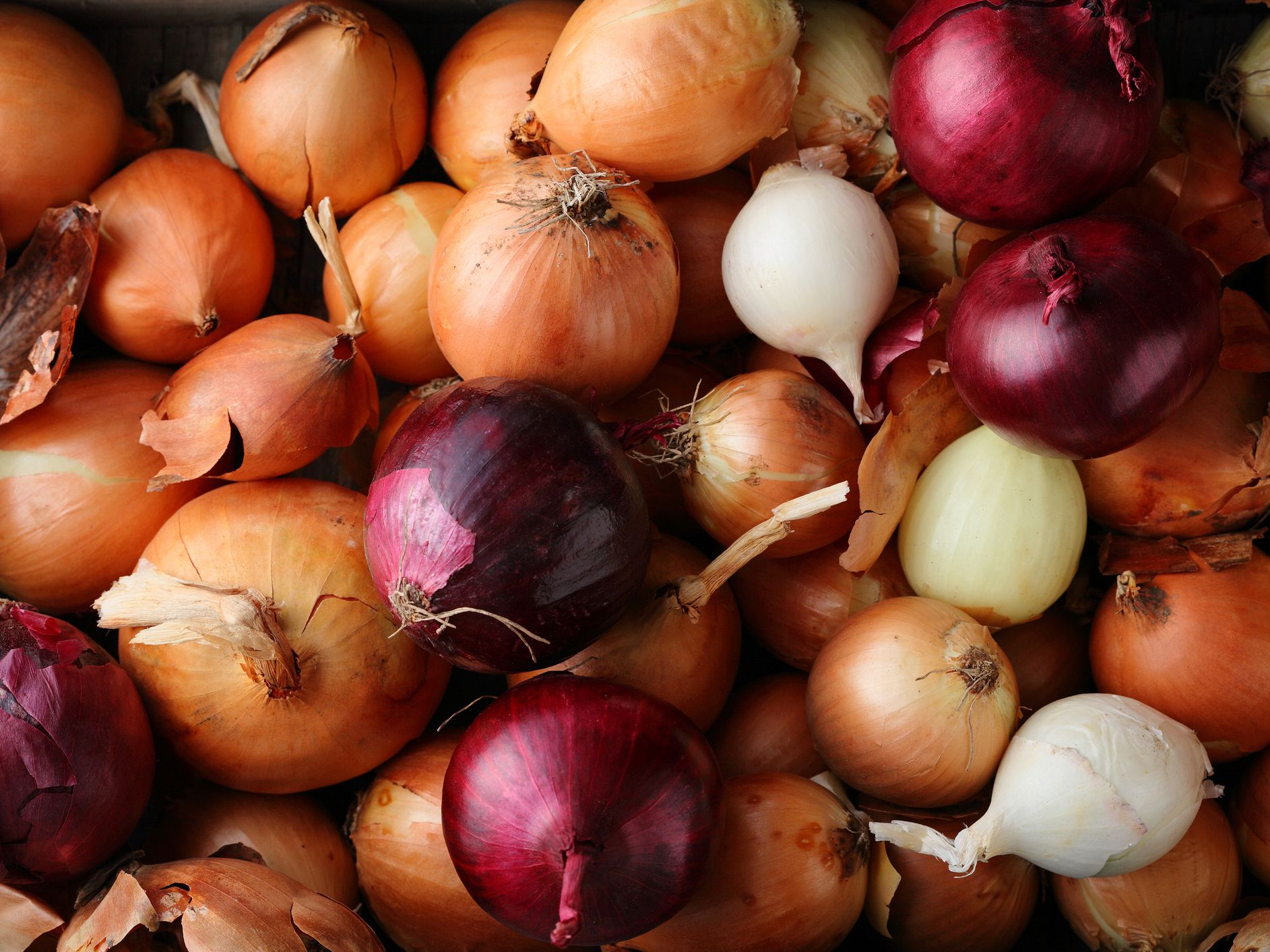 Group of onions top view