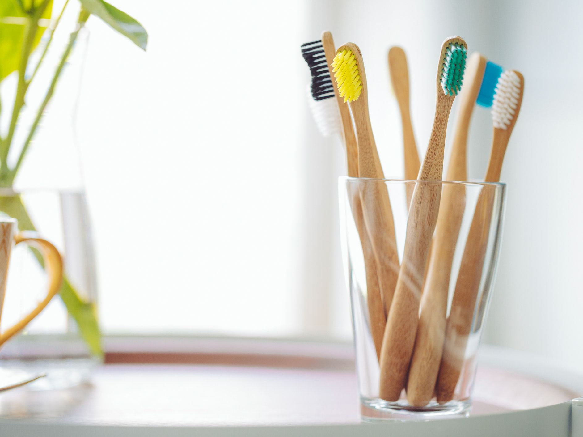 Toothbrushes in a glass
