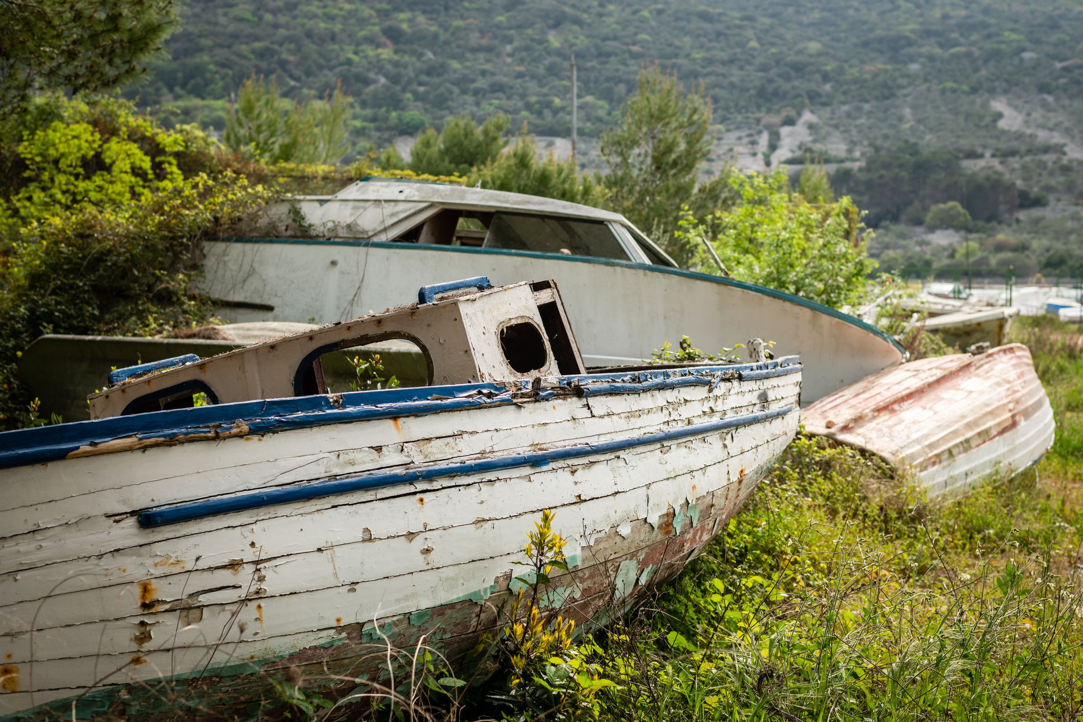 old wooden boat lying in the bushes on a sunny day