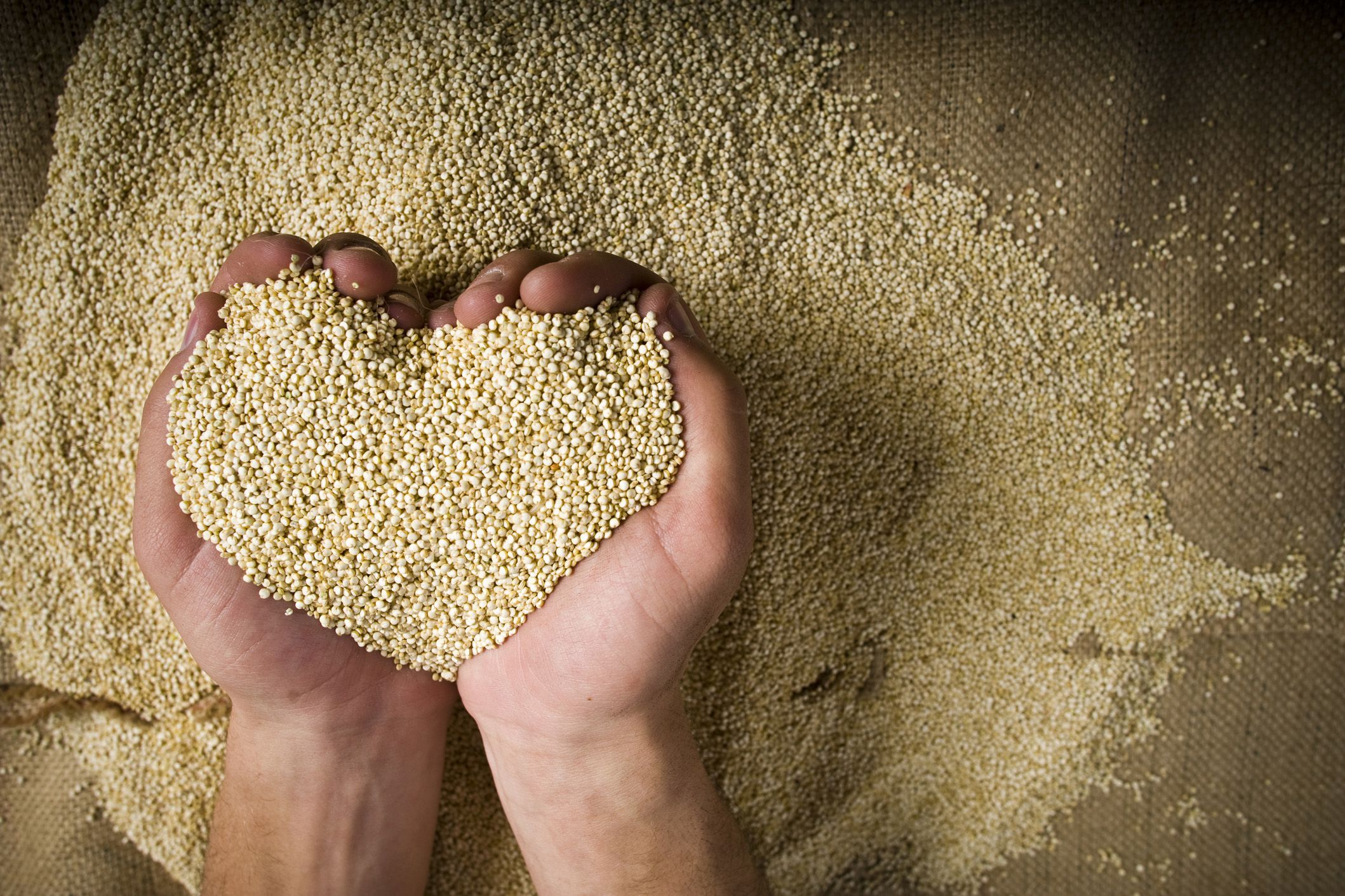 quinoa in hands forming heart, bag in background