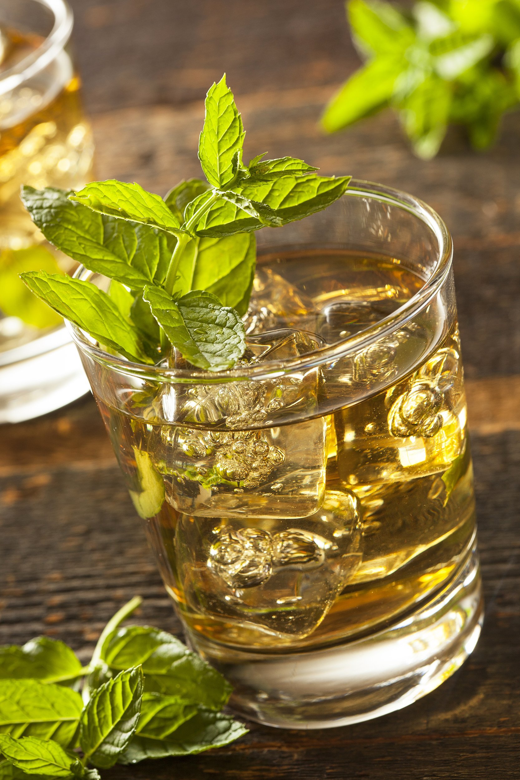 Mexican Julep