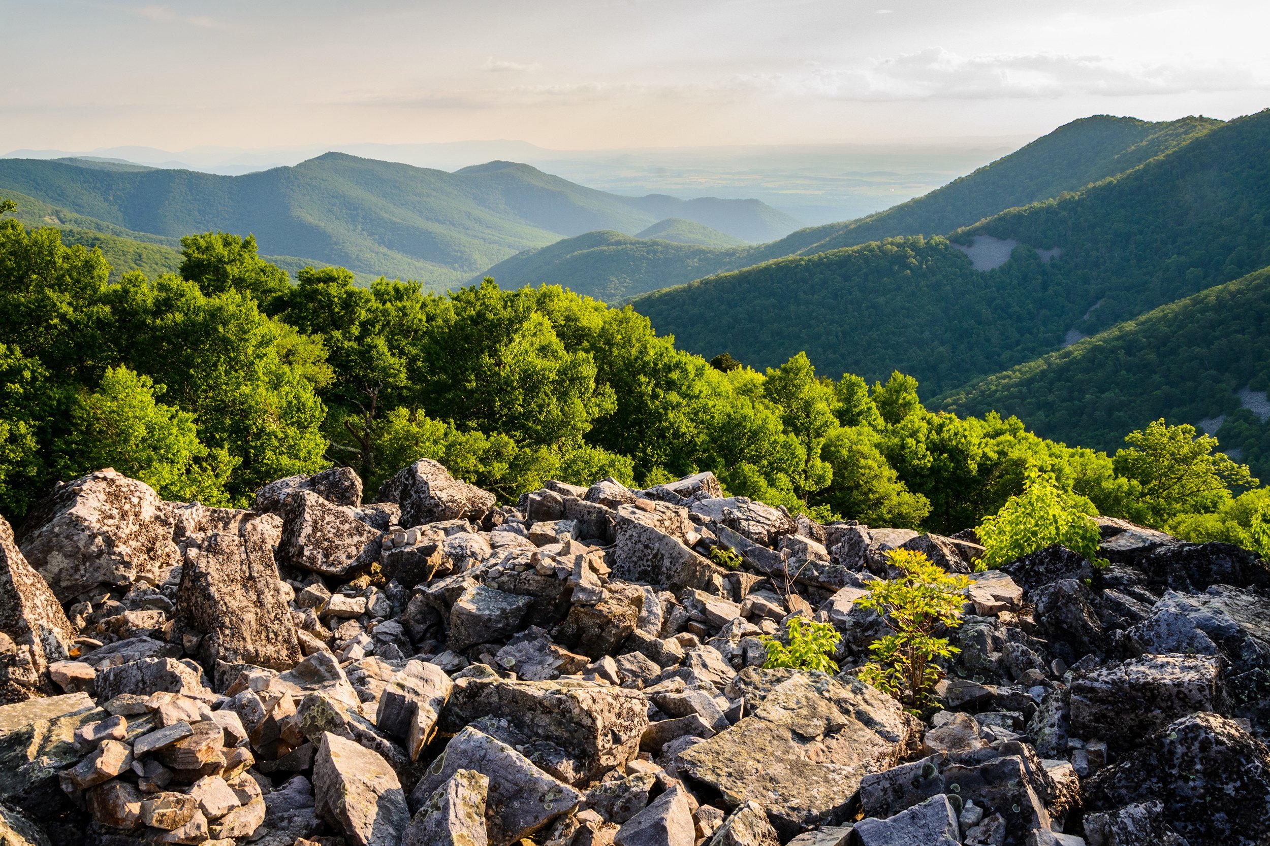 Shenandoah National Park in Virginia