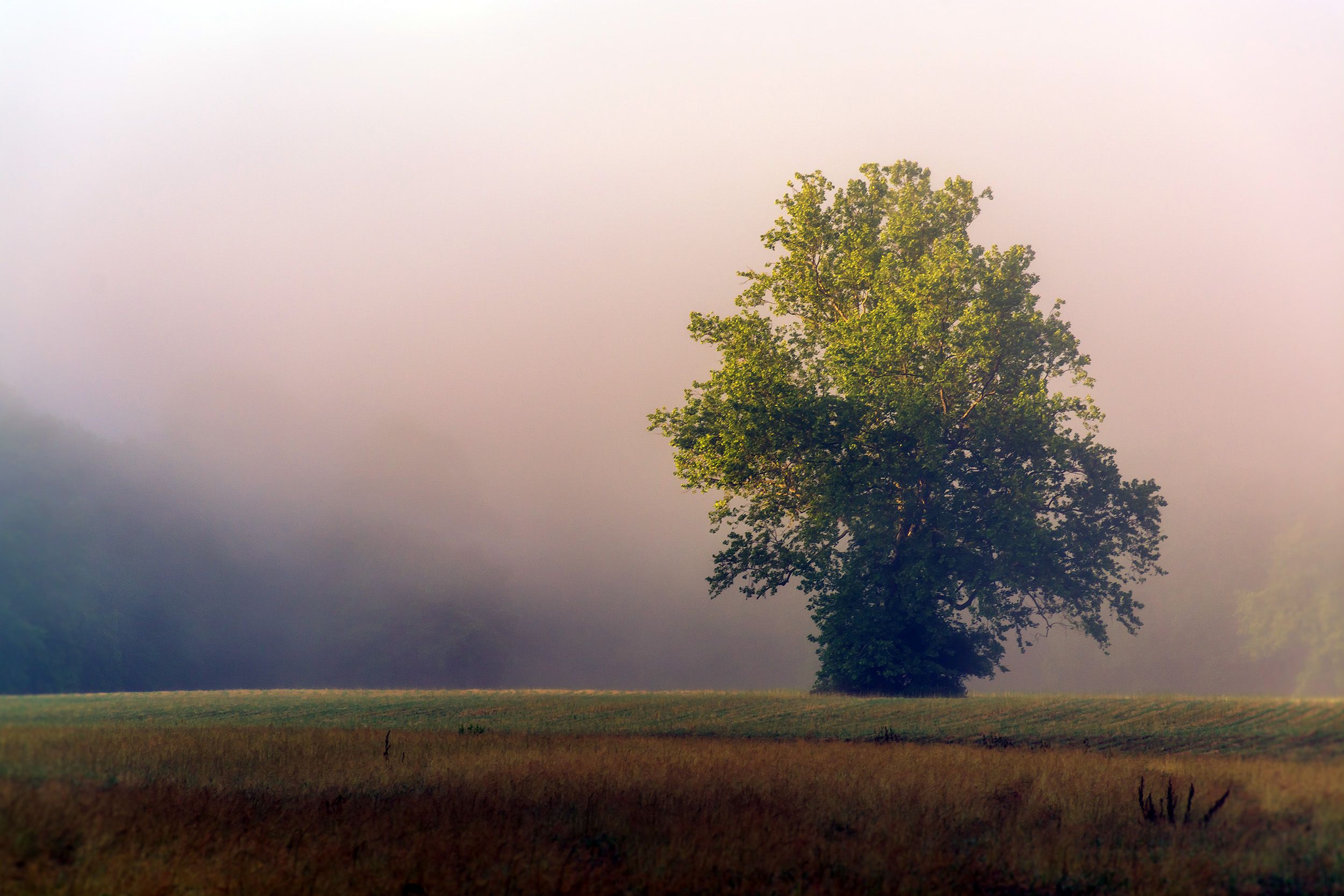 beaver valley in first state national historic park