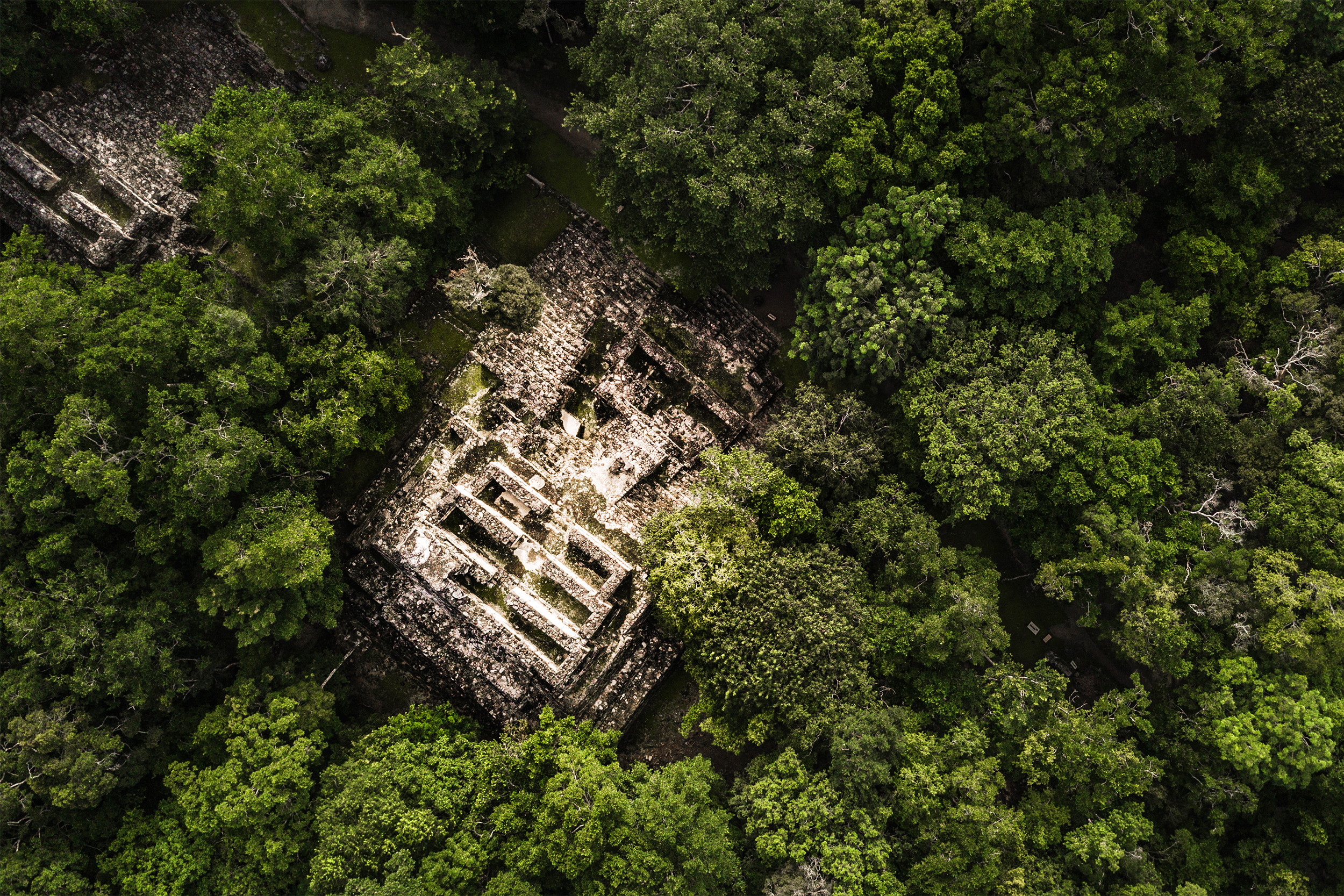 Aerial view of the pyramid, Calakmul, Campeche, Mexico