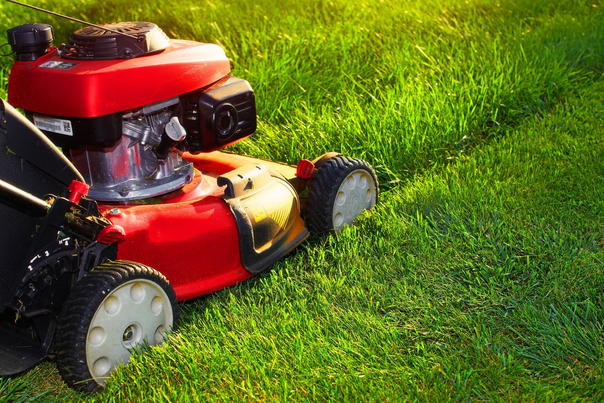 lawn mower cutting grass