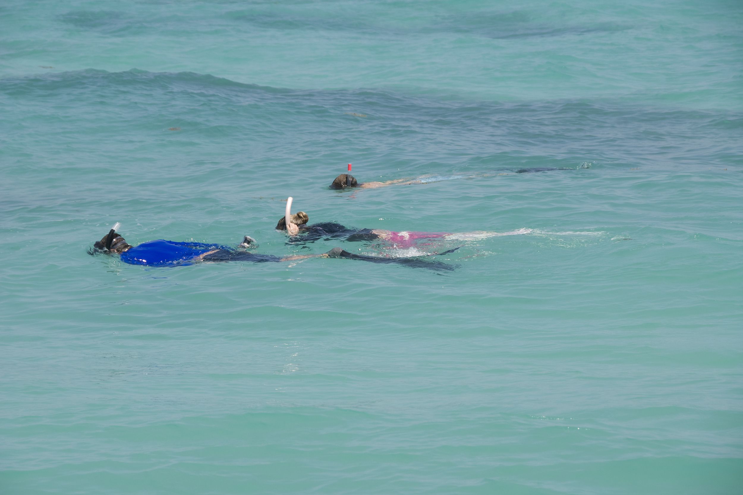 people snorkeling, Dry Tortugas National Park