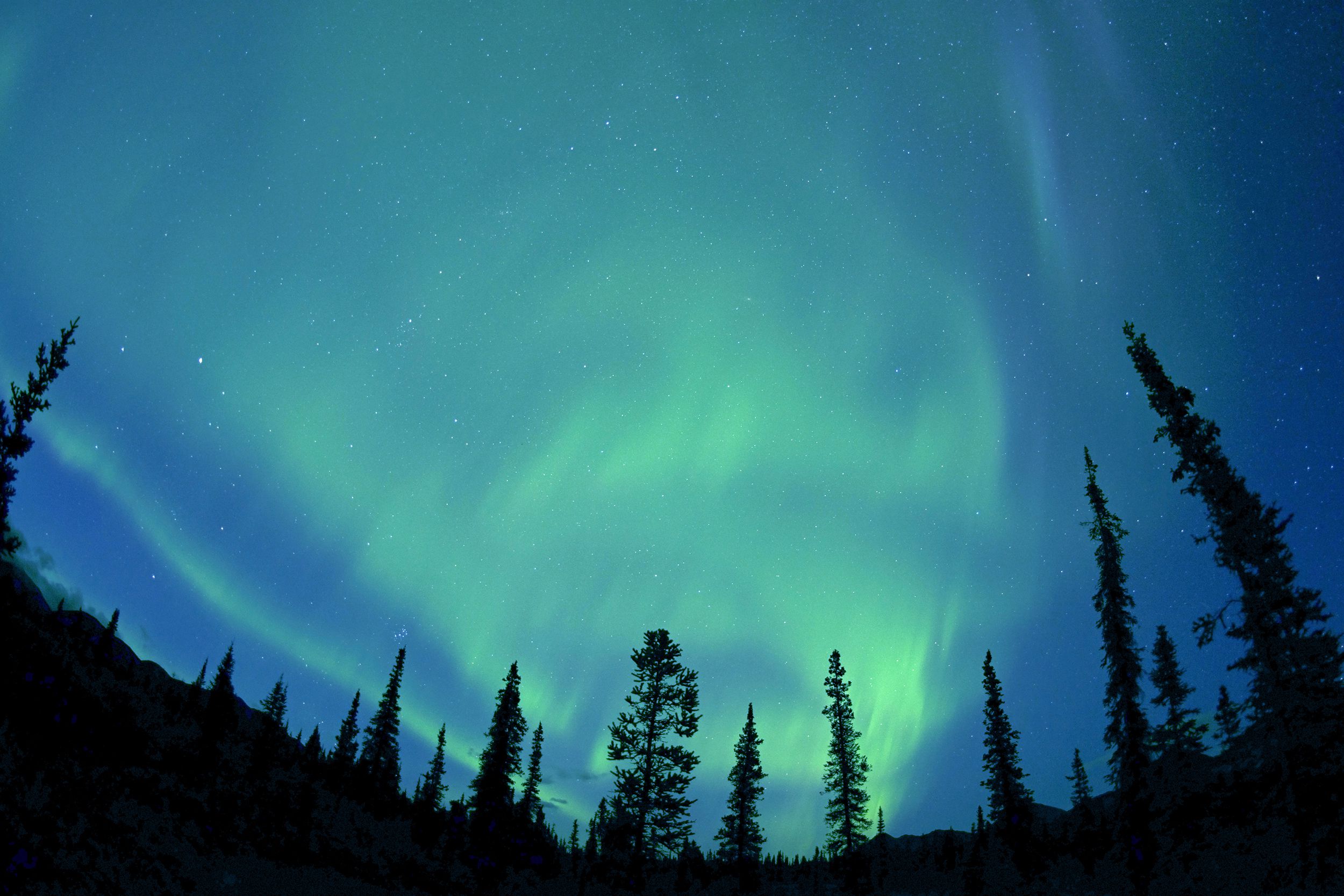 northern lights, Denali National Park