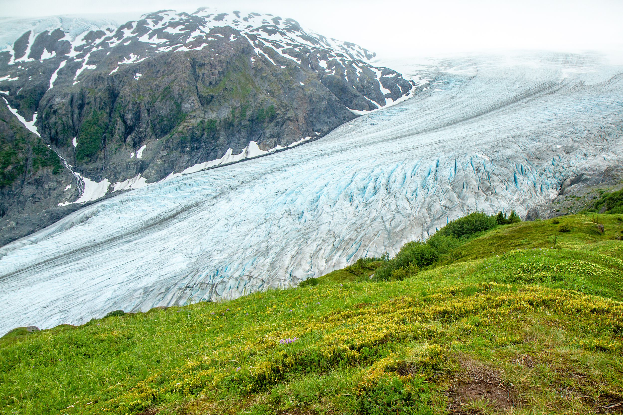 Harding Icefield, Kenai Fjords National Park
