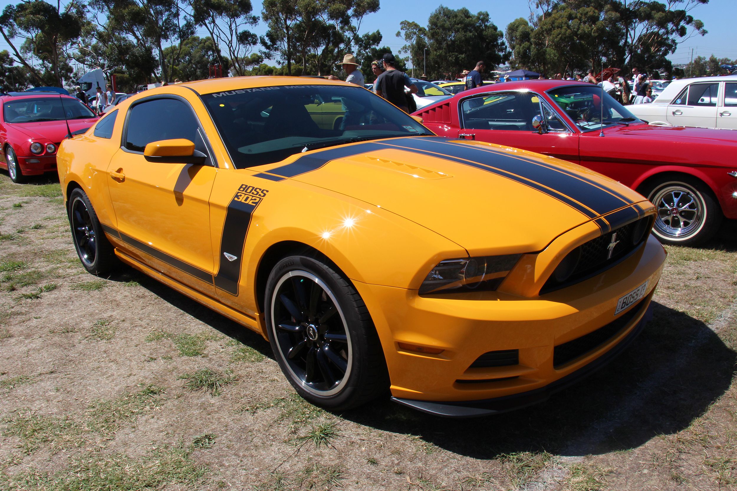 2013 Boss 302