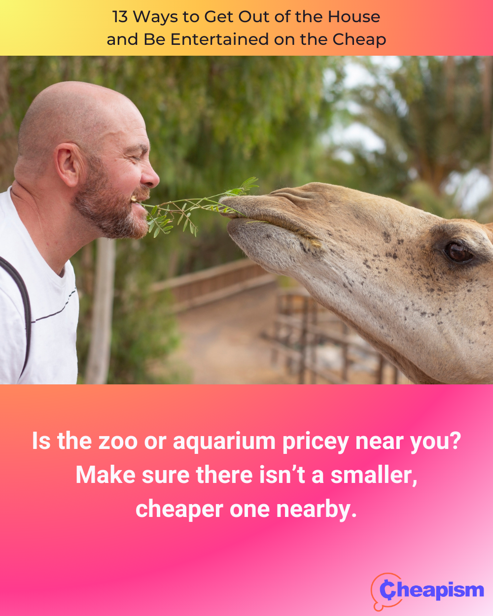See Some Animals (or Fish)