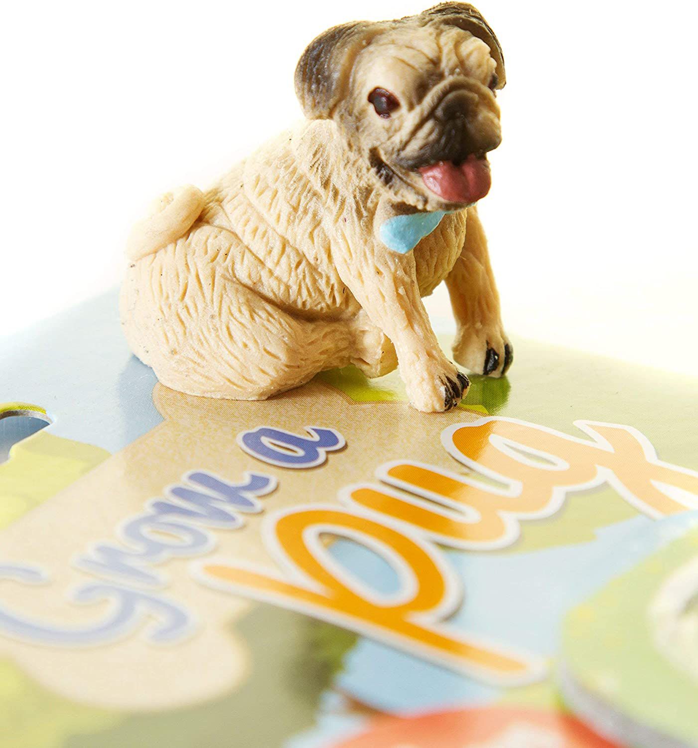 A 'Grow Your Own Pug' That Didn't Grow