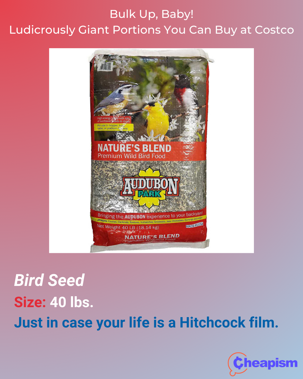 Audubon Park Nature’s Blend Premium Wild Bird Food, 40 lbs