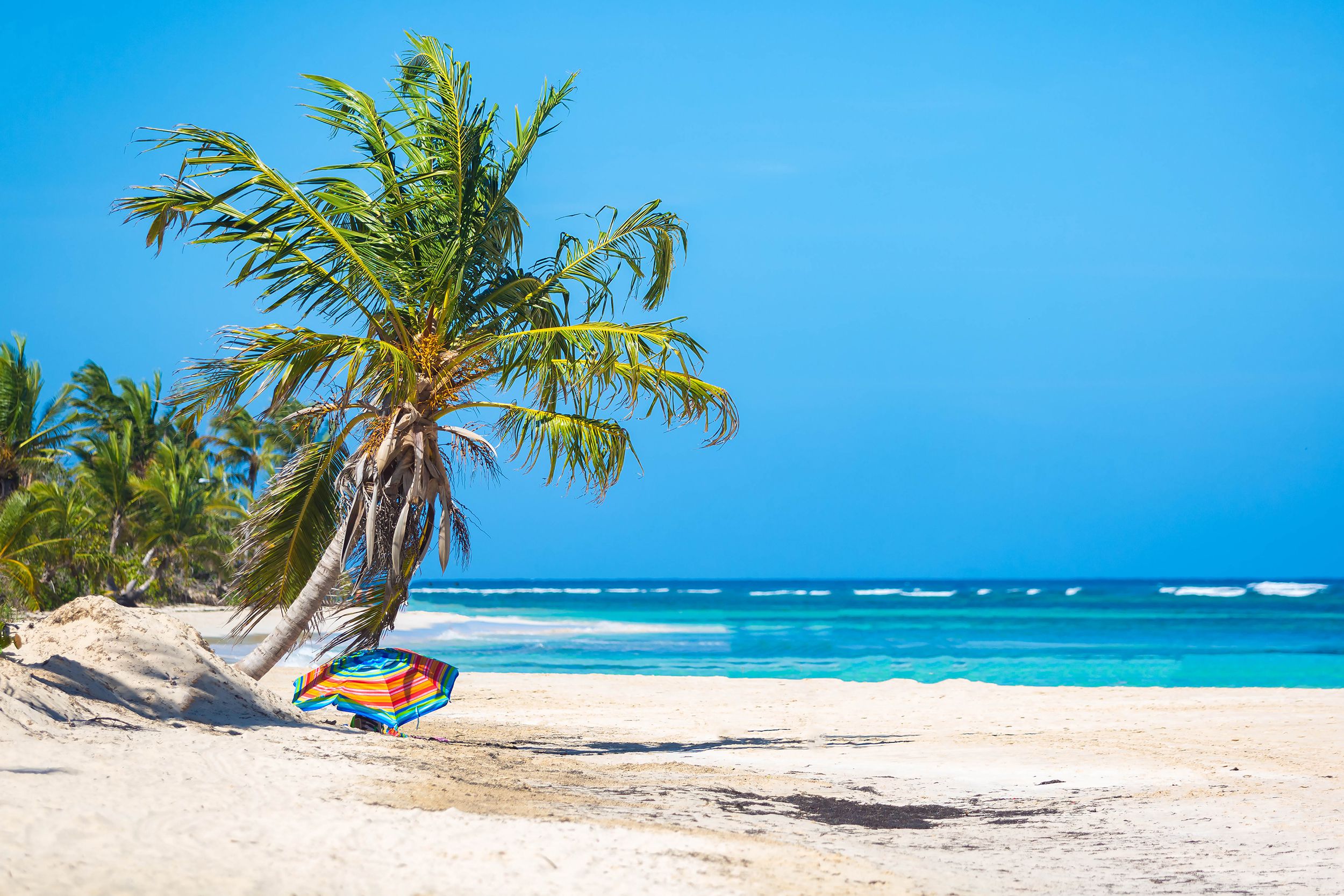 Flamenco Beach, Culebra, Puerto Rico, a colorful umbrella under a palm tree on the beach next to the ocean, on a bright sunny day