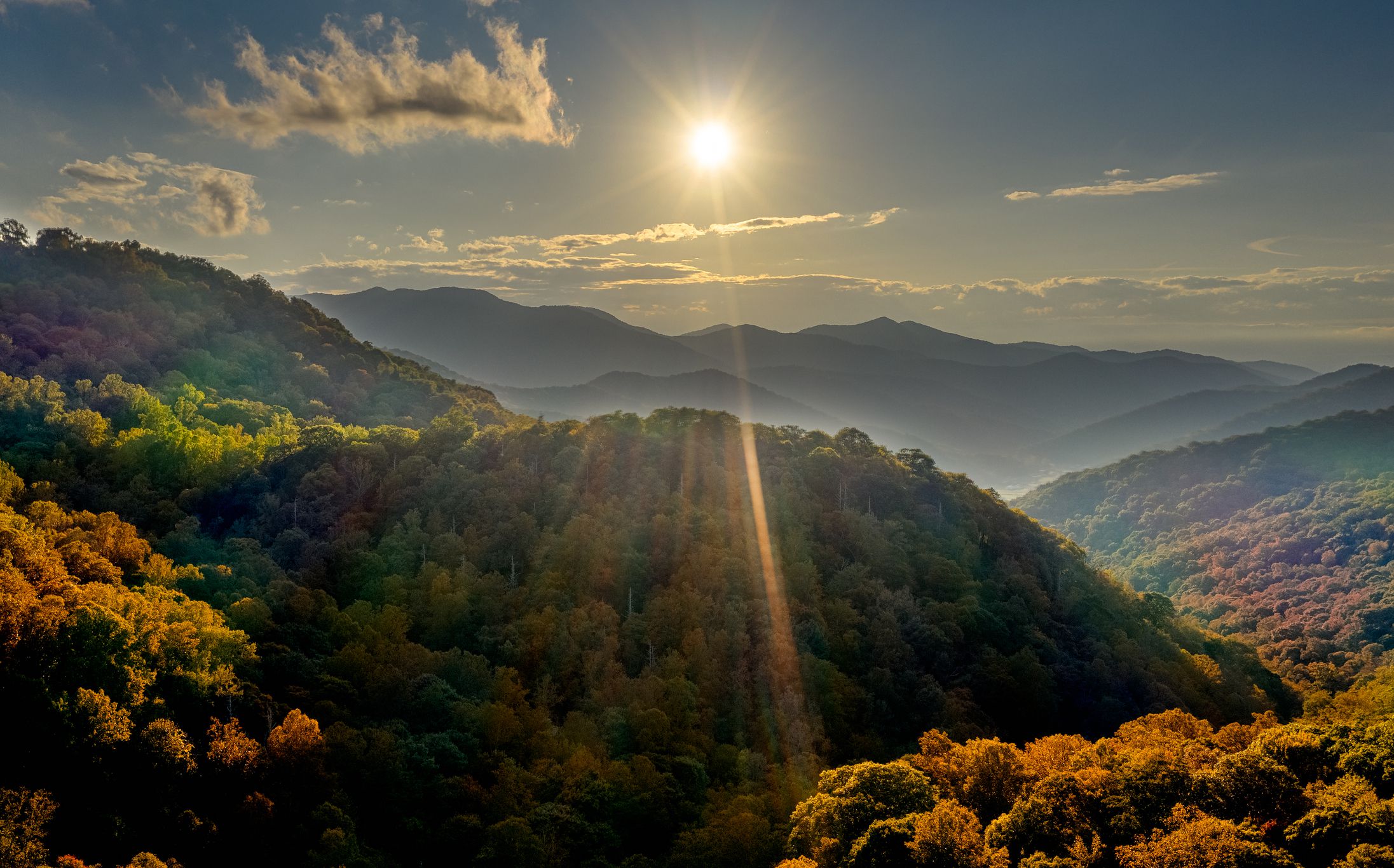 North Carolina: Pisgah National Forest