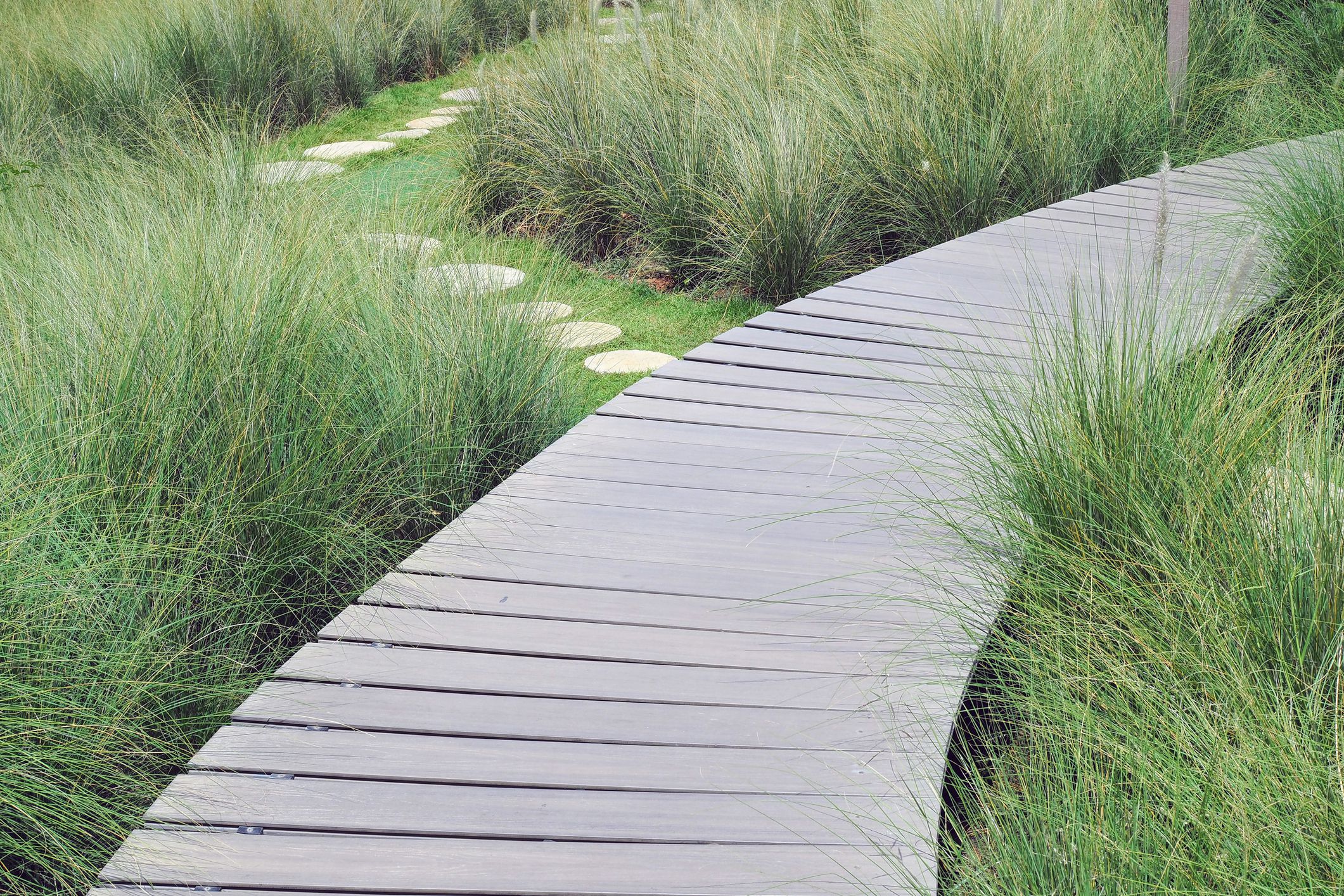 Wooden path across garden covers green grasses with selective focus.
