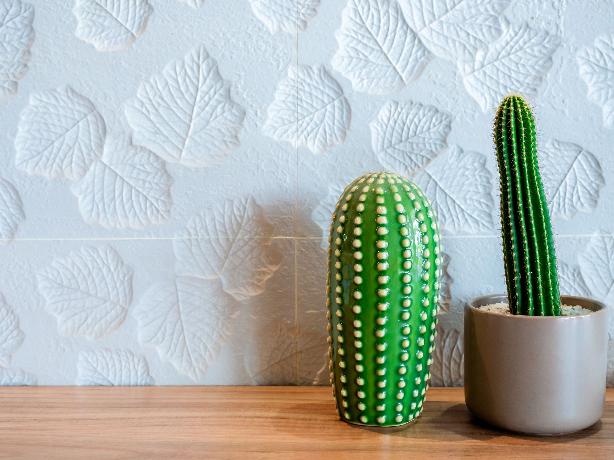 Green real growth cactus plant in pot and fake ceramic cactus decoration on wooden shelf on white wall background with copy space.