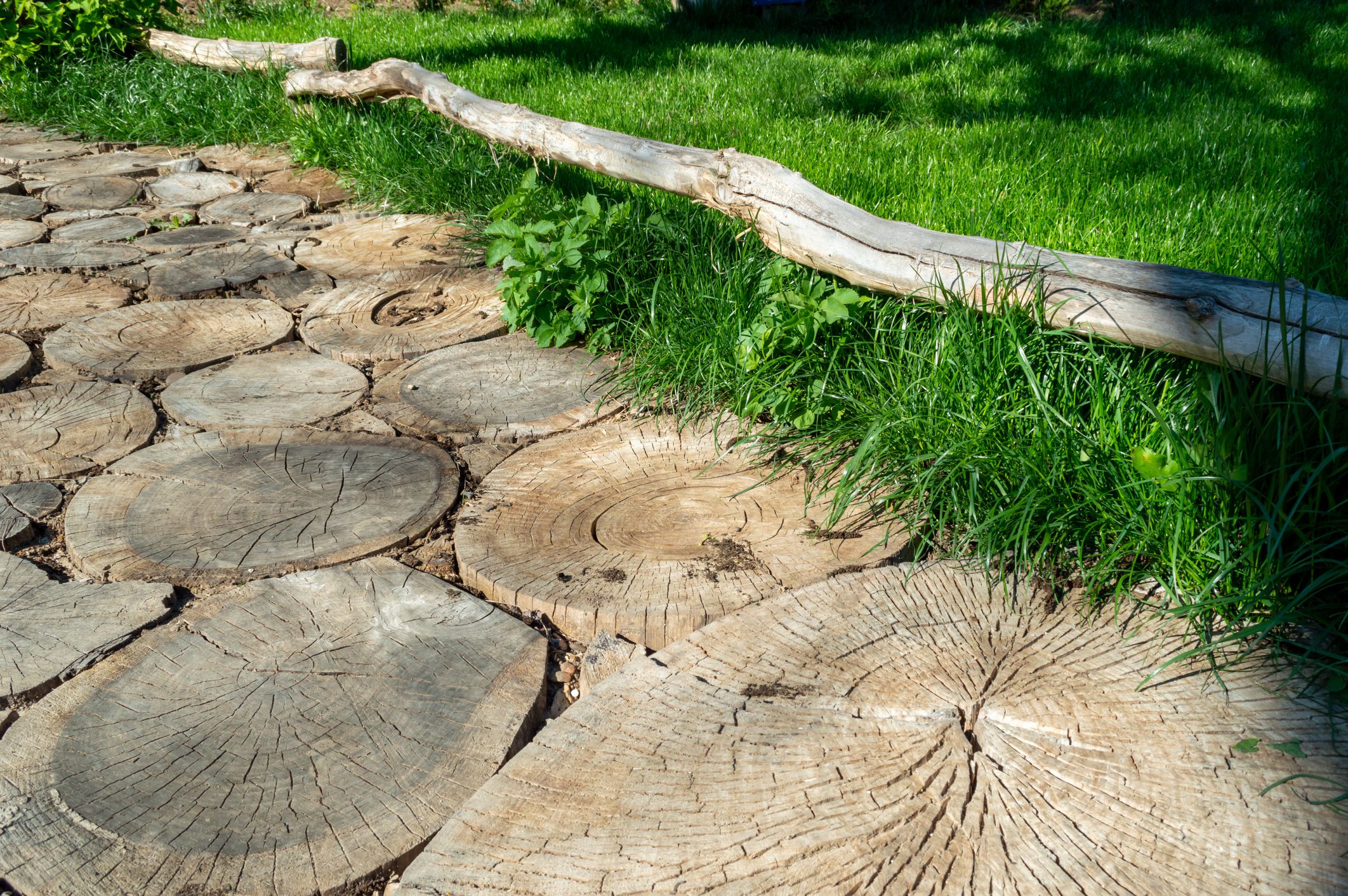 Round timber path in the park