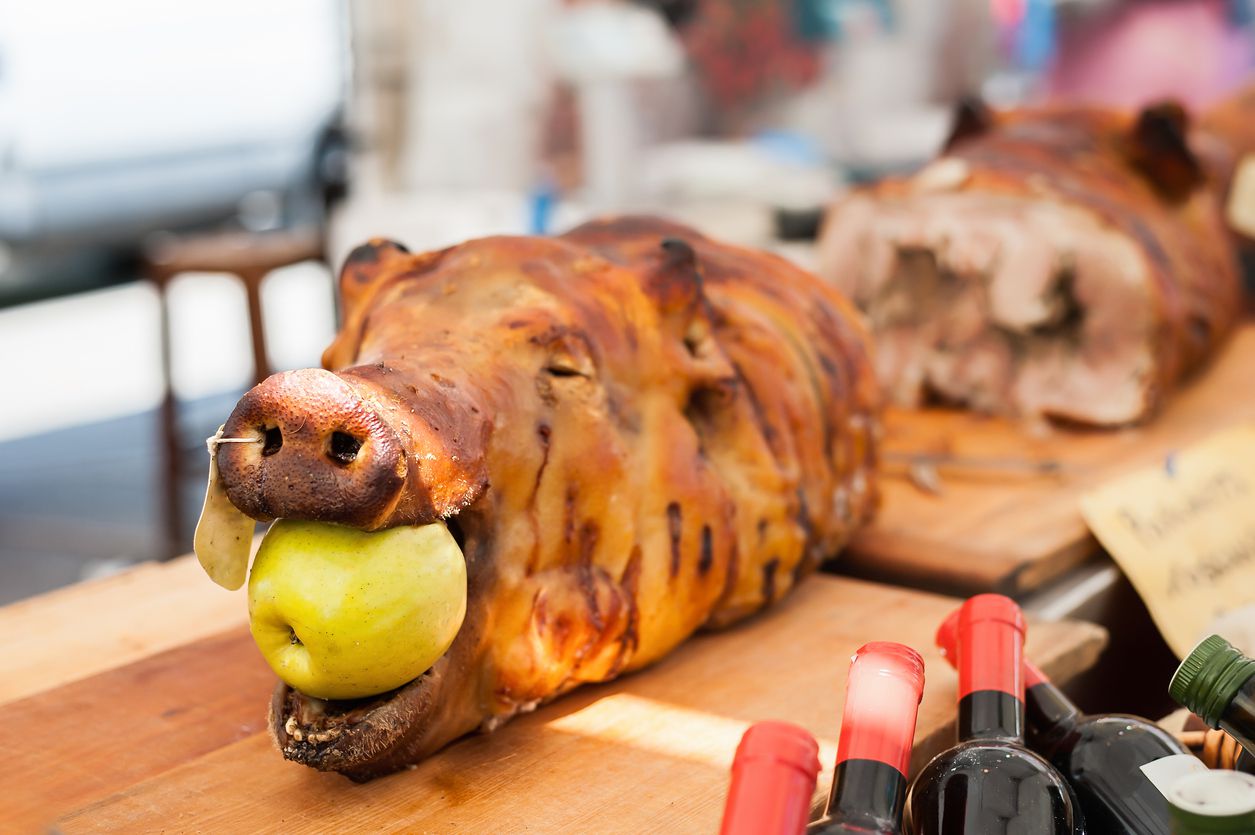 pig with apple in mouth close up