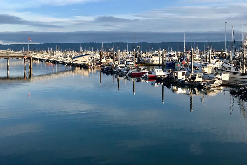 Homer, Alaska