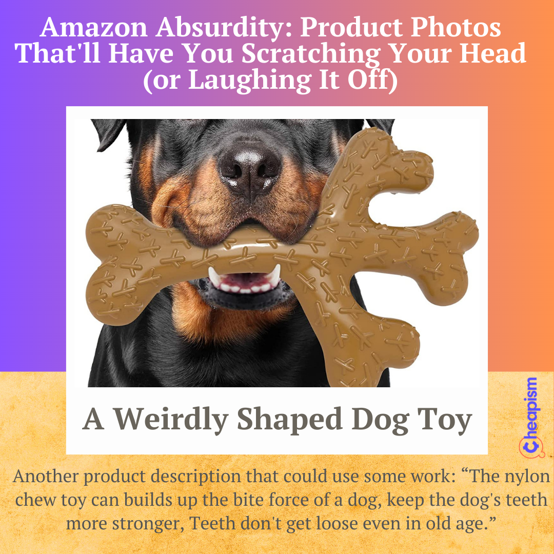 A big, but still cute, dog holding a strange-antler looking bone in its mouth