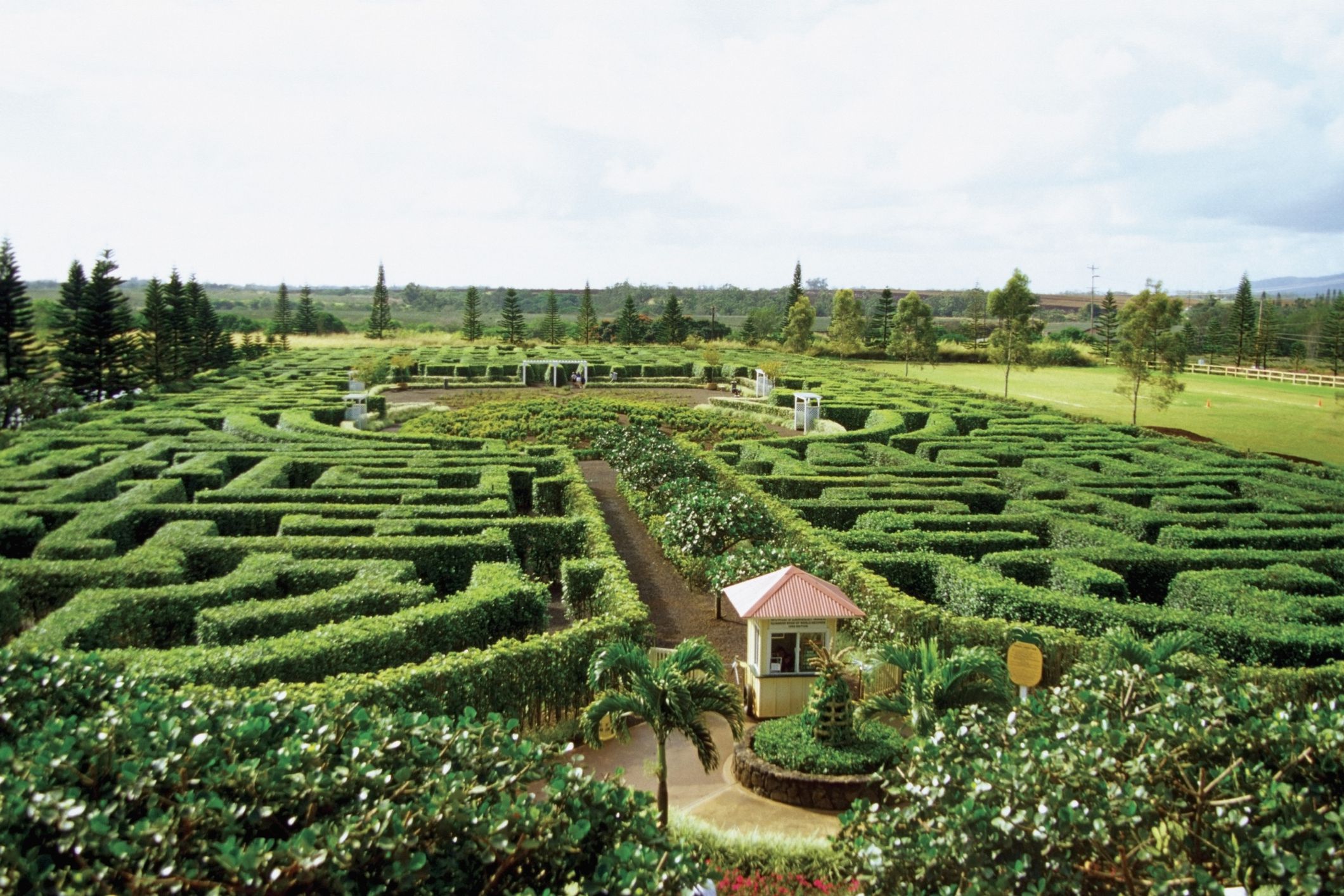 Hawaii: Pineapple Maze