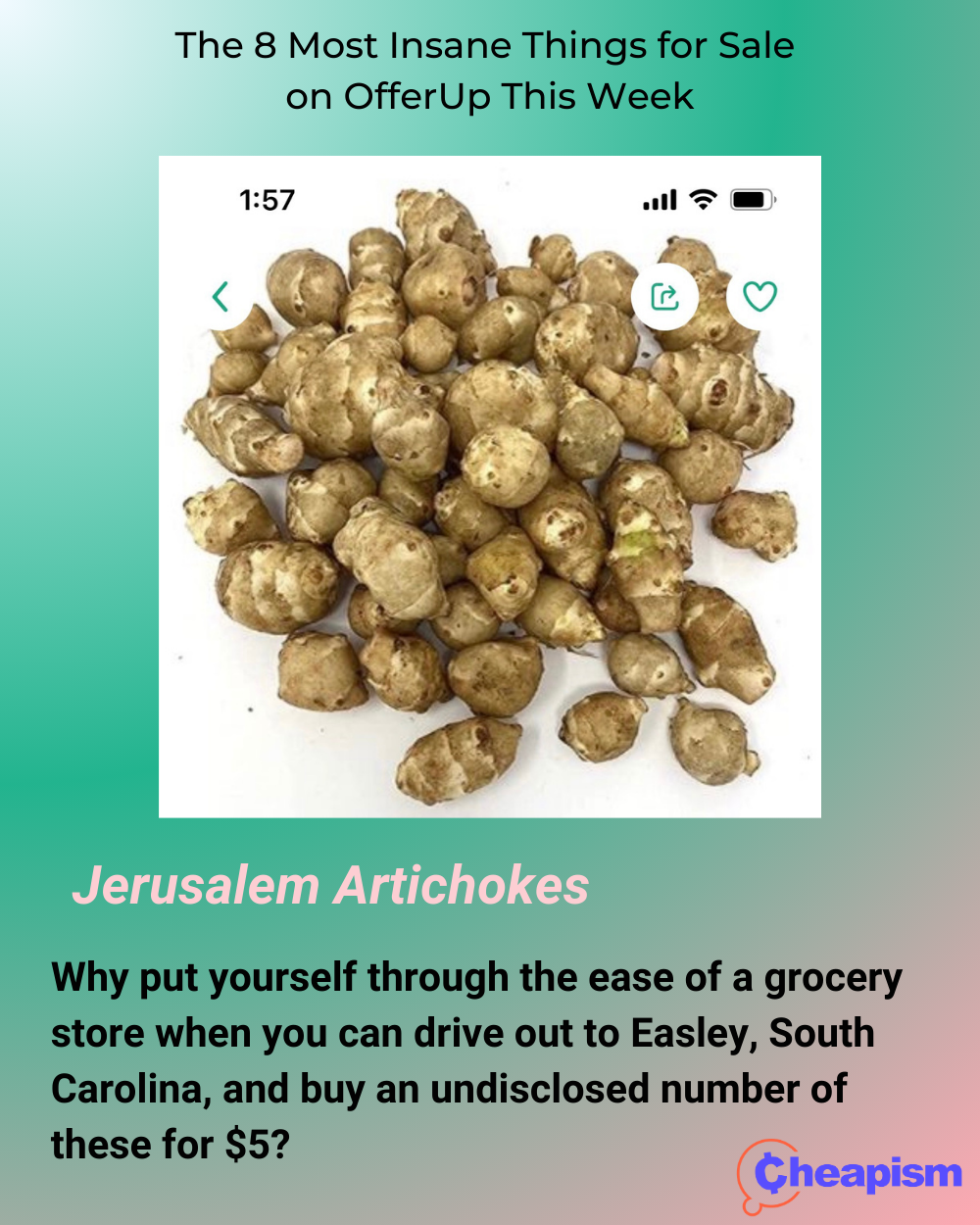 Jerusalem Artichokes