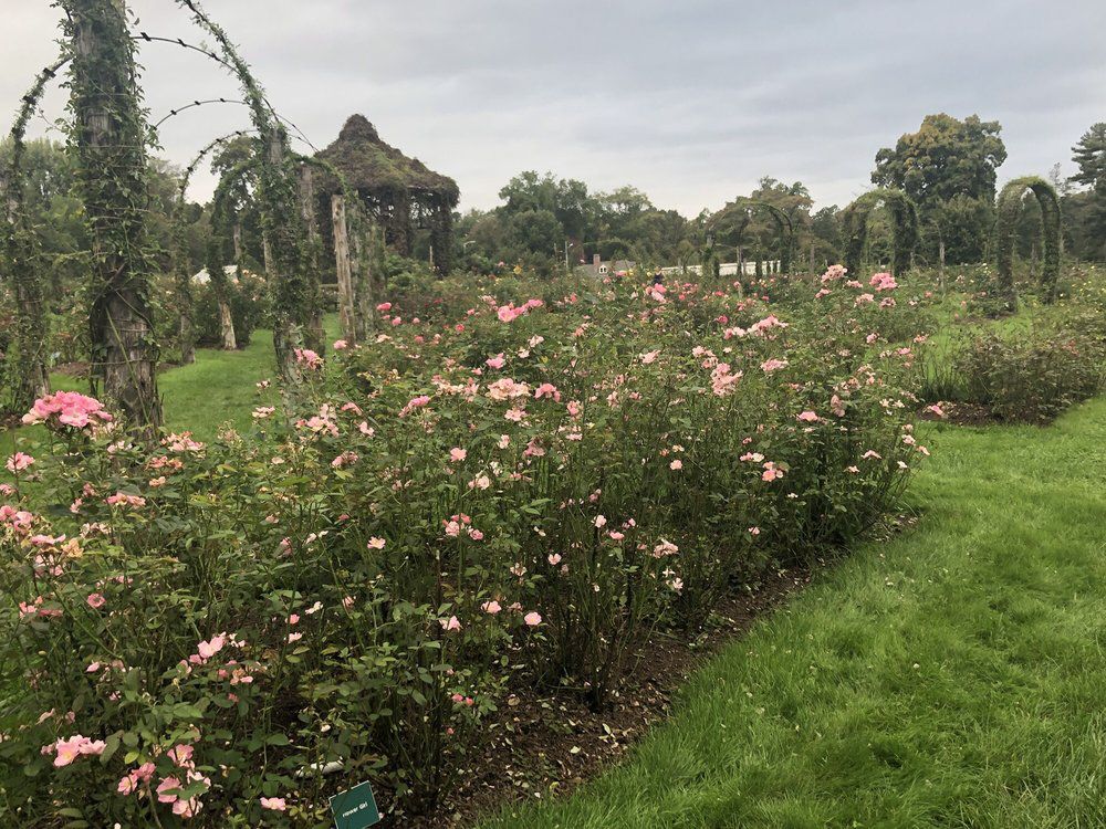 Elizabeth Park Conservancy