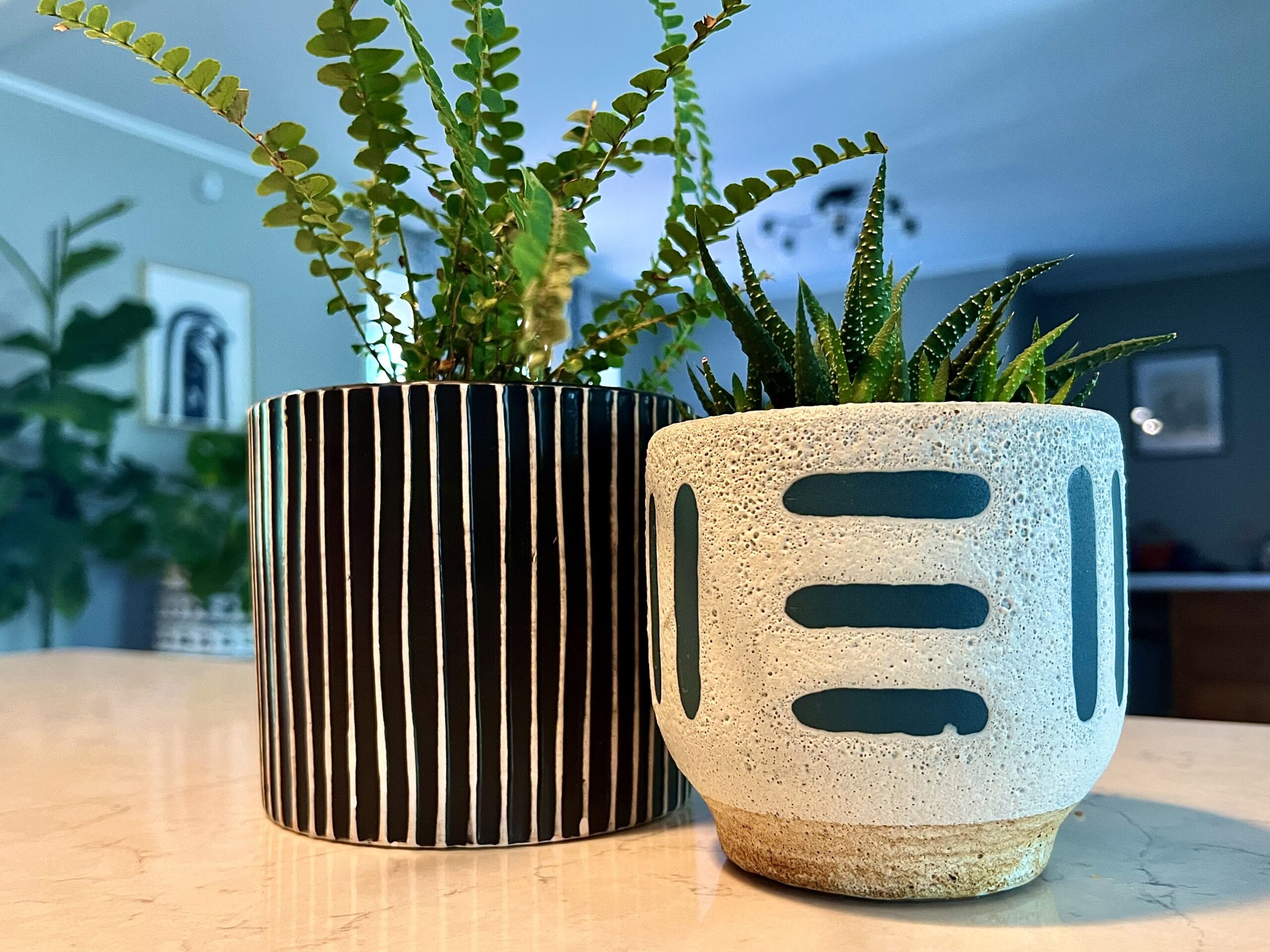 Two plant pots sit on a kitchen countertop. One is black and white striped and the other has a concrete texture with horizontal and vertical turquoise lines.