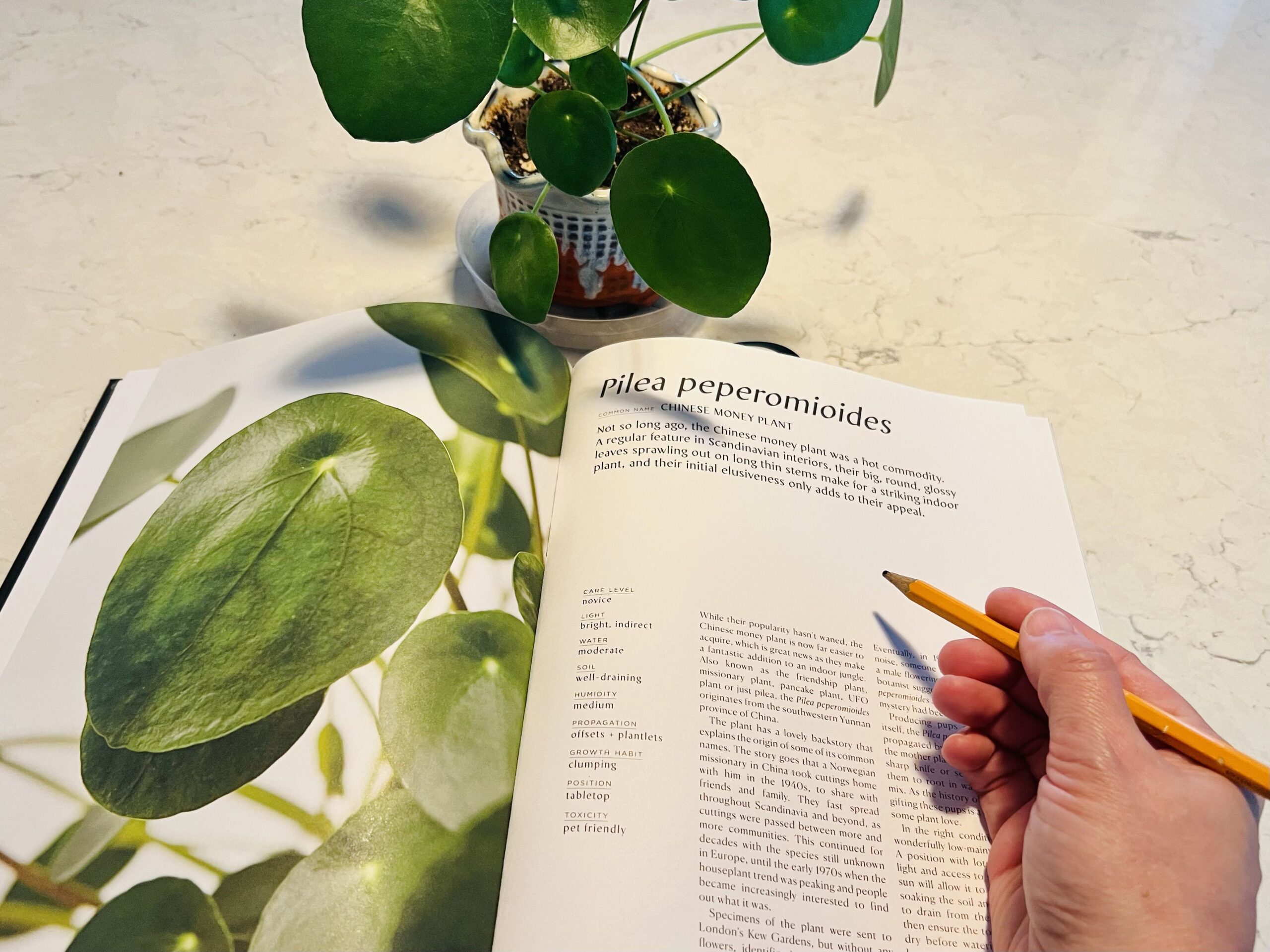 A hand hovers over a plant education book with a UFO plant in the background.