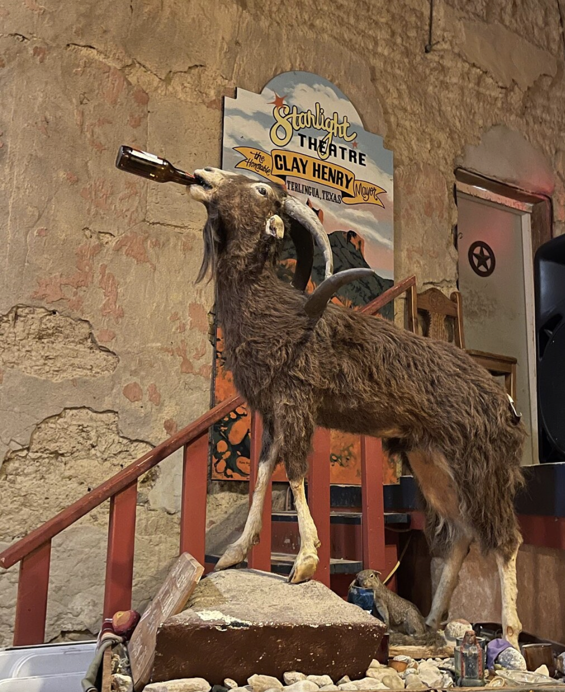 a stuffed goat with a bottle of beer to its lips; better known as the beer-drinking goat mayor