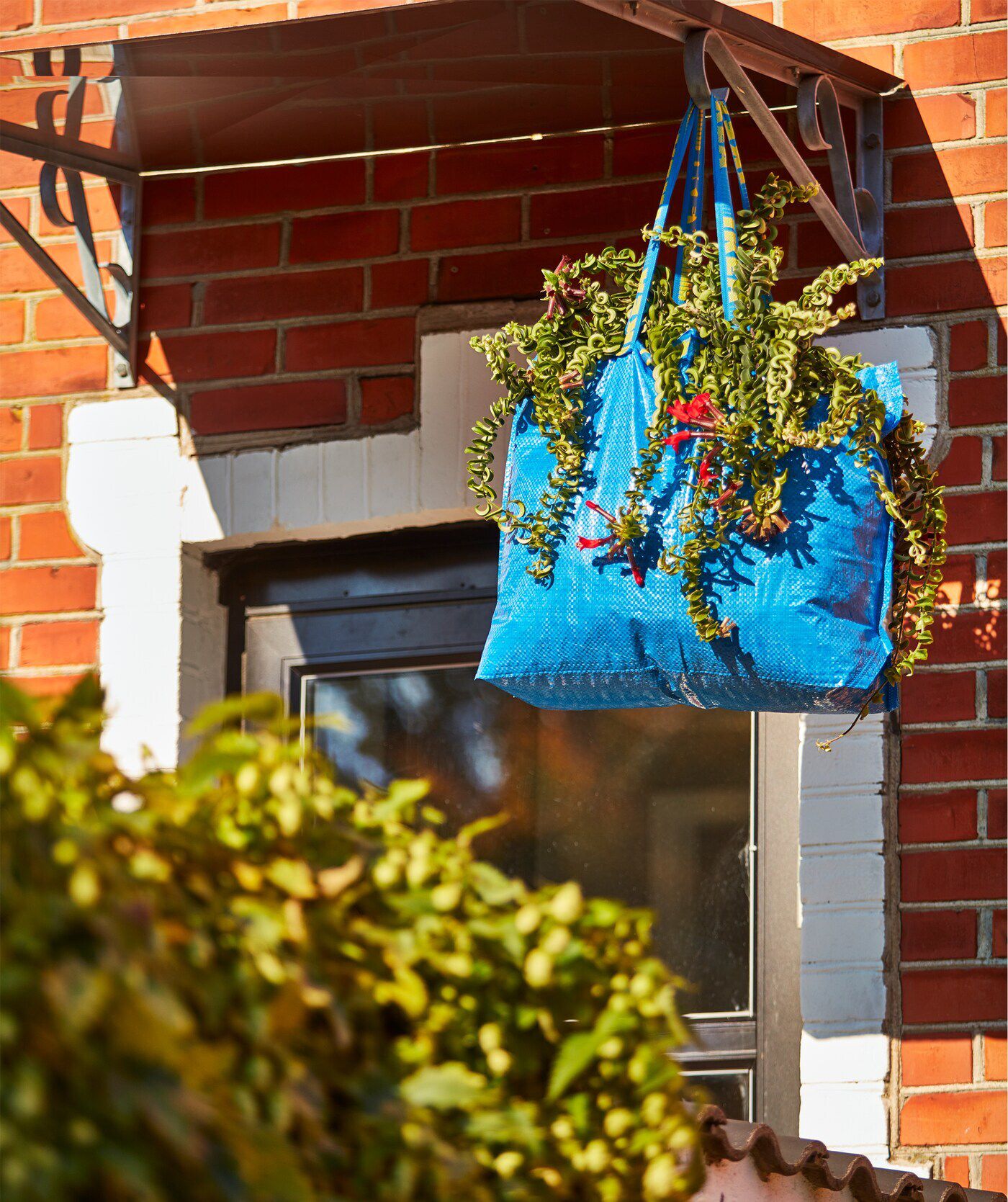 Ikea Bags