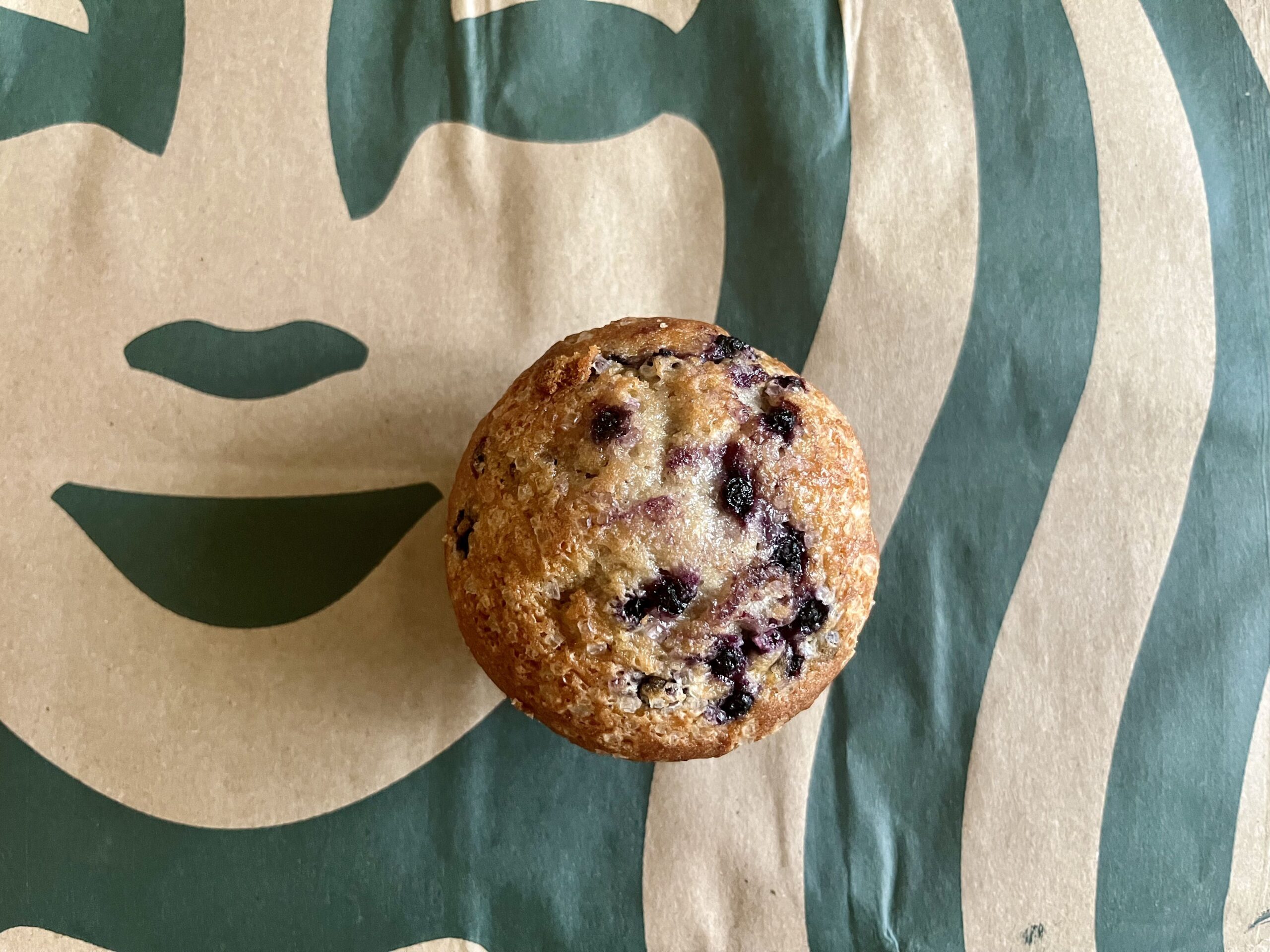 blueberry muffin from starbucks