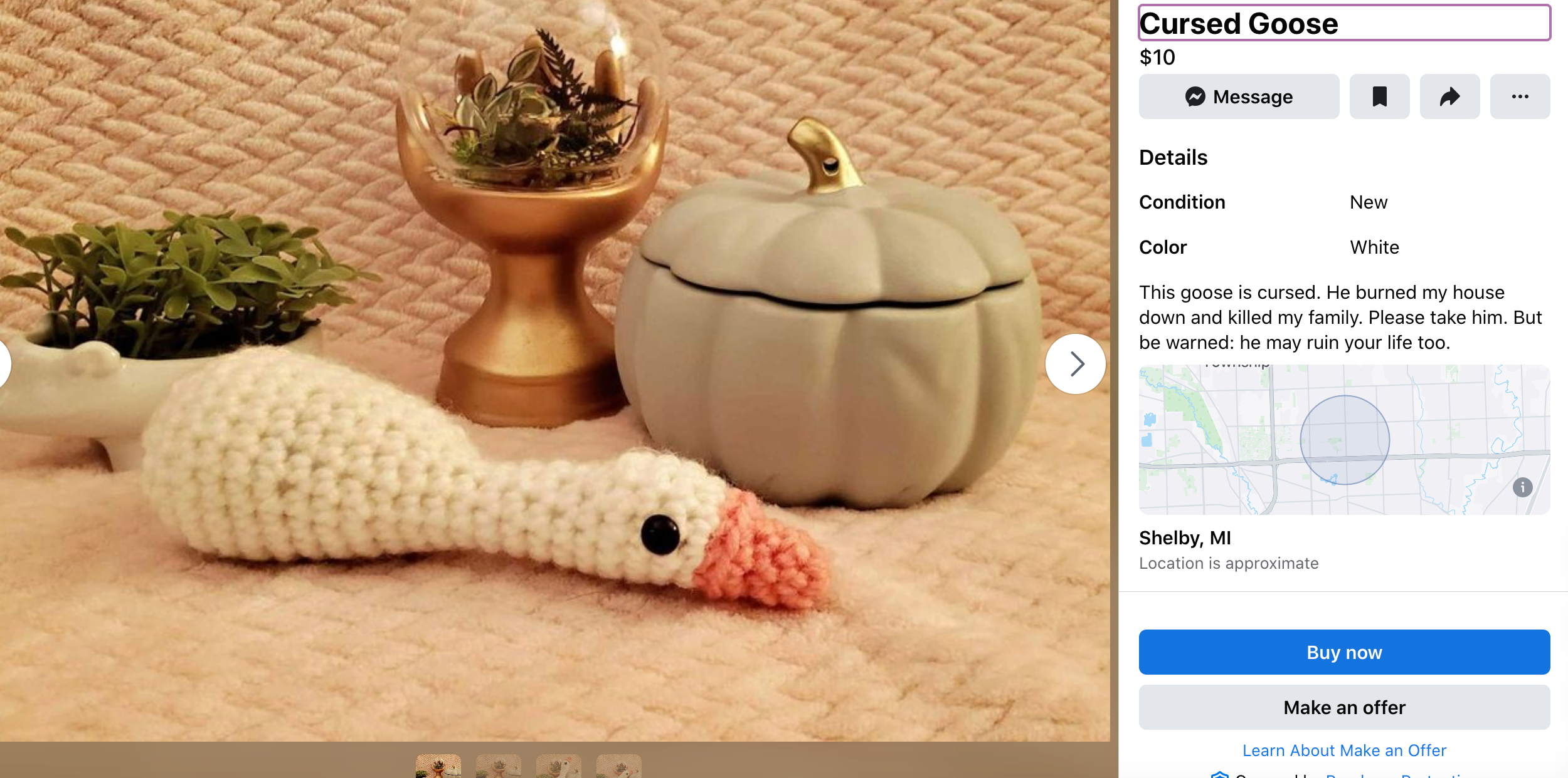 cursed crocheted goose