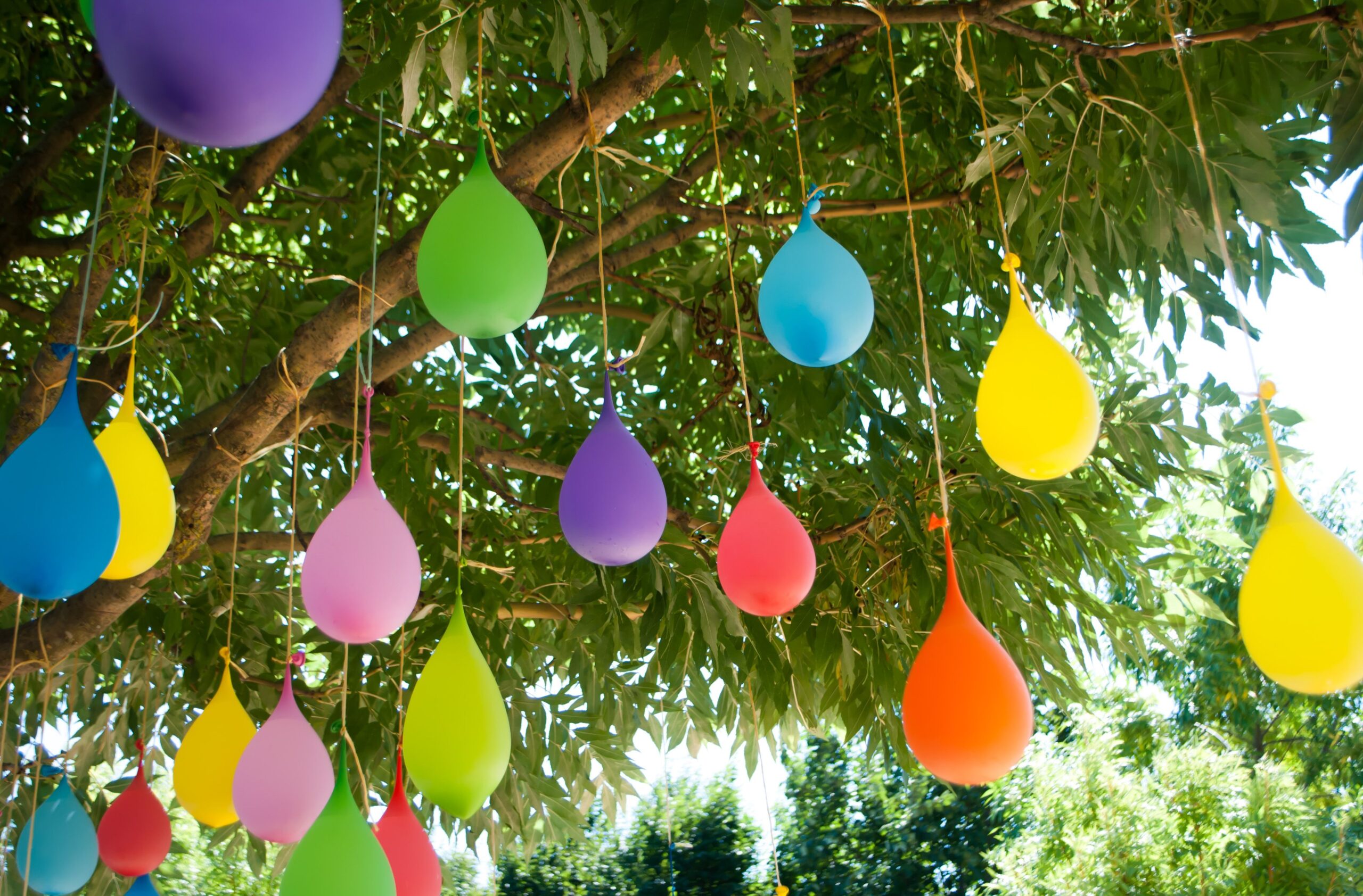 Multicolored balloons filled with water, hanging on a tree, with green color of leaves in the background