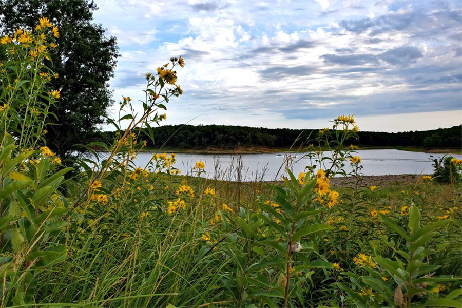 Rathbun Reservoir