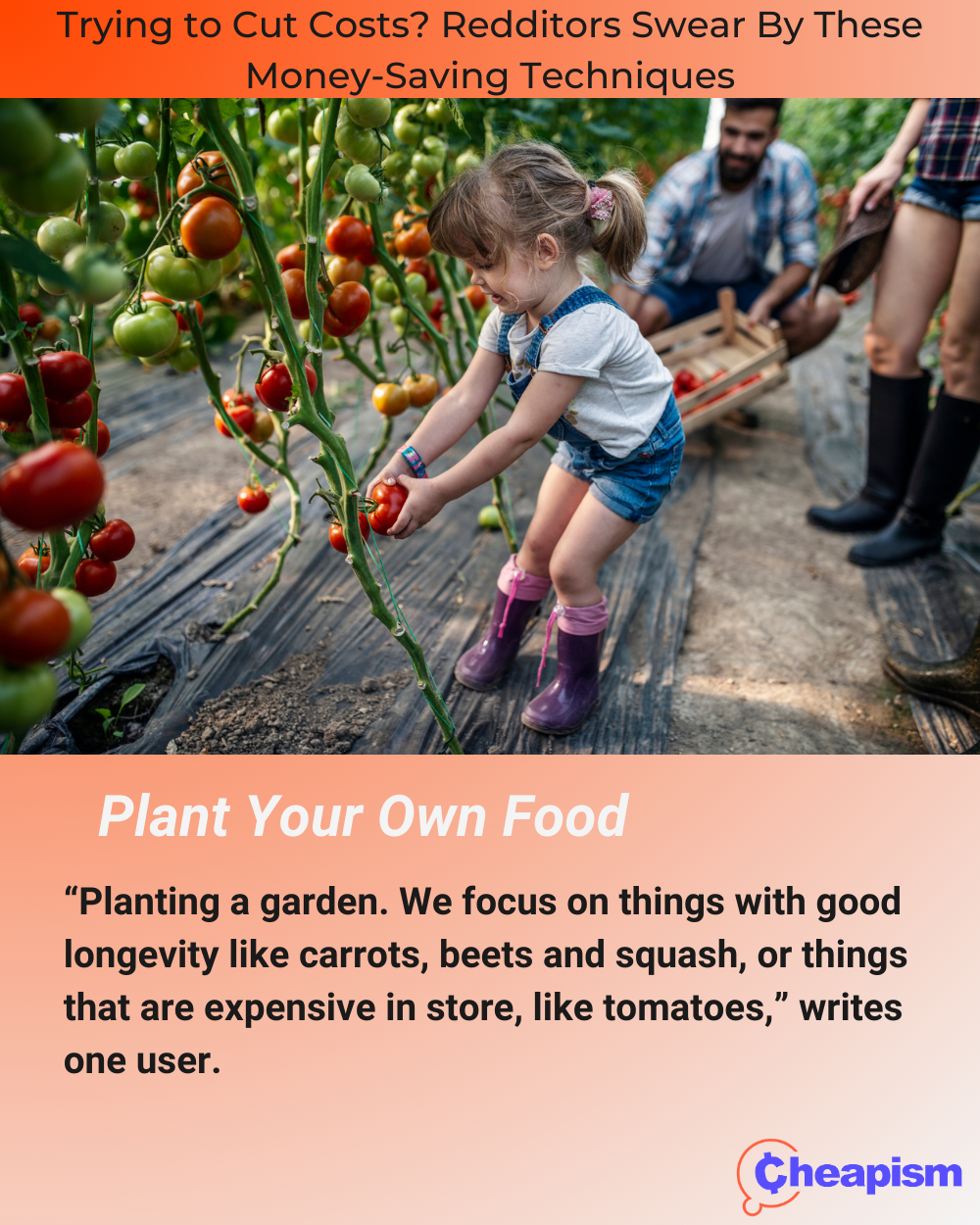 Get to Planting