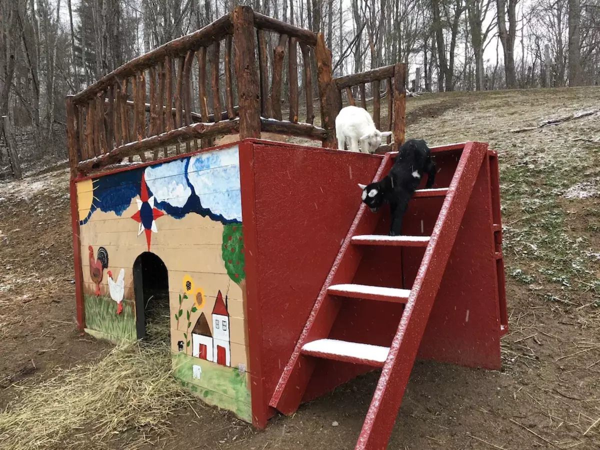 Petting Zoo, Mountain Magic, Sugar Grove, North Carolina