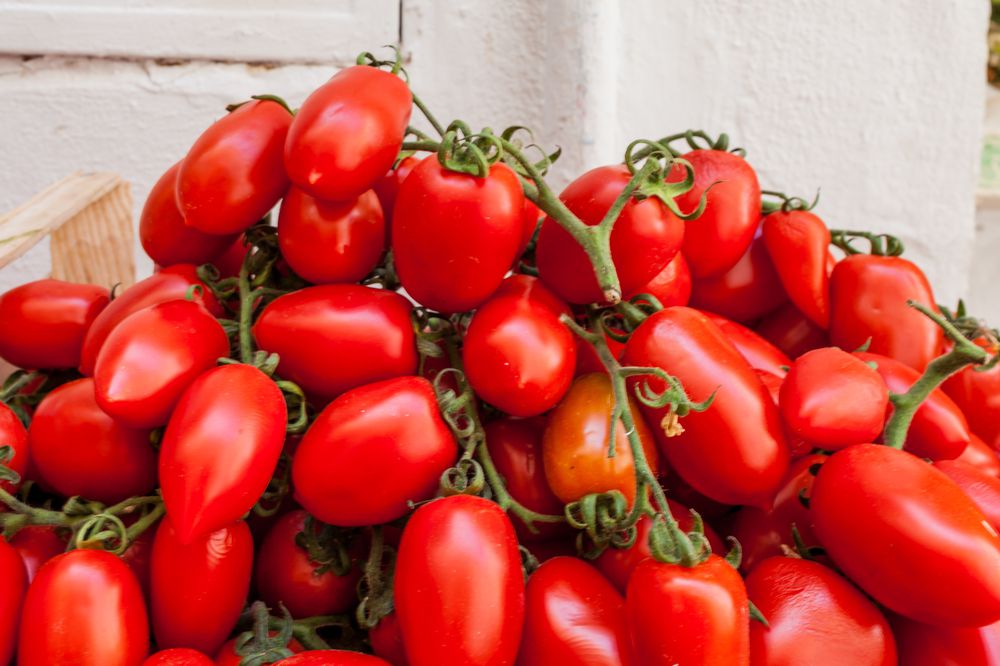 San Marzano Tomatoes
