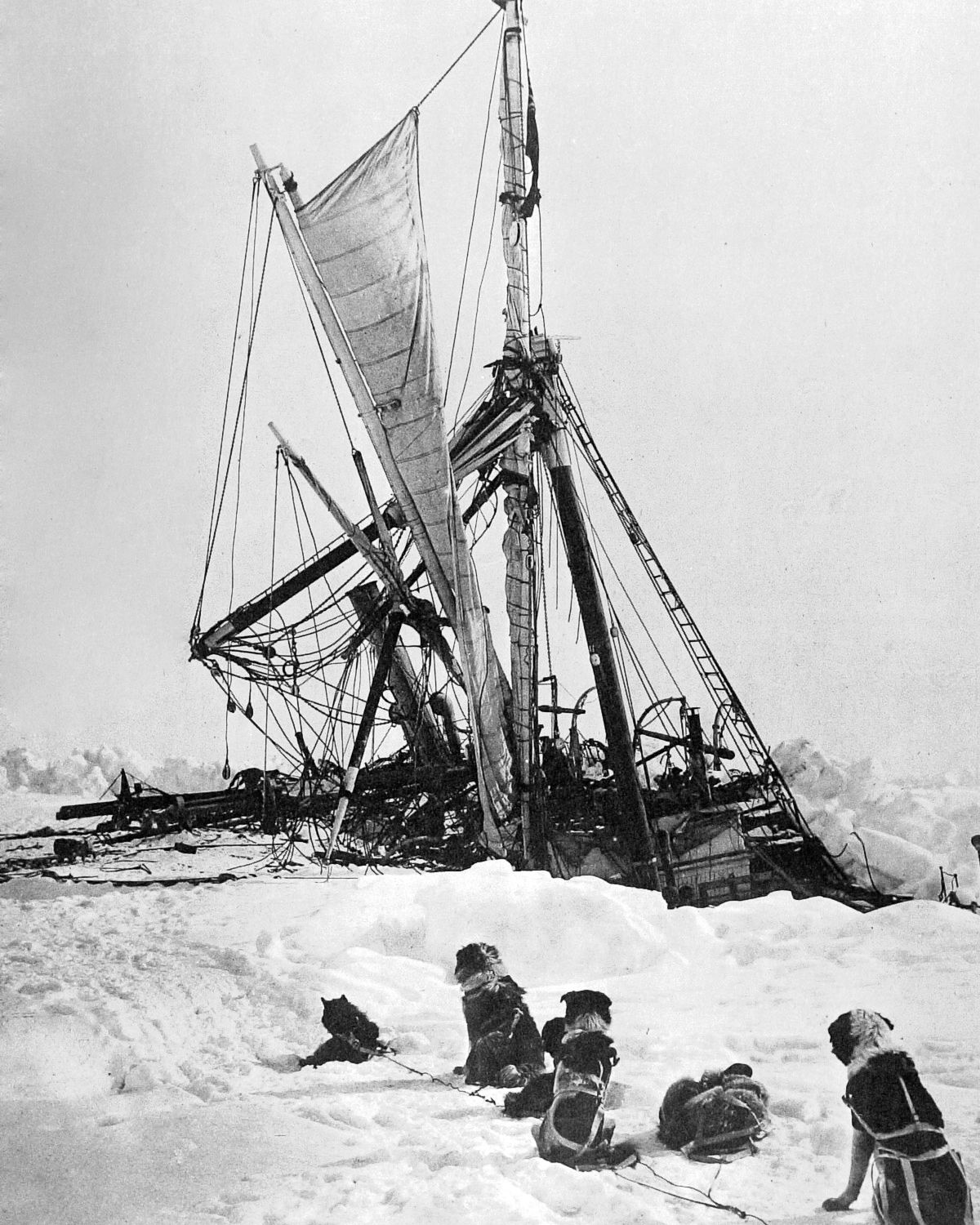 Alexander Macklin and crew sailing to Antarctica