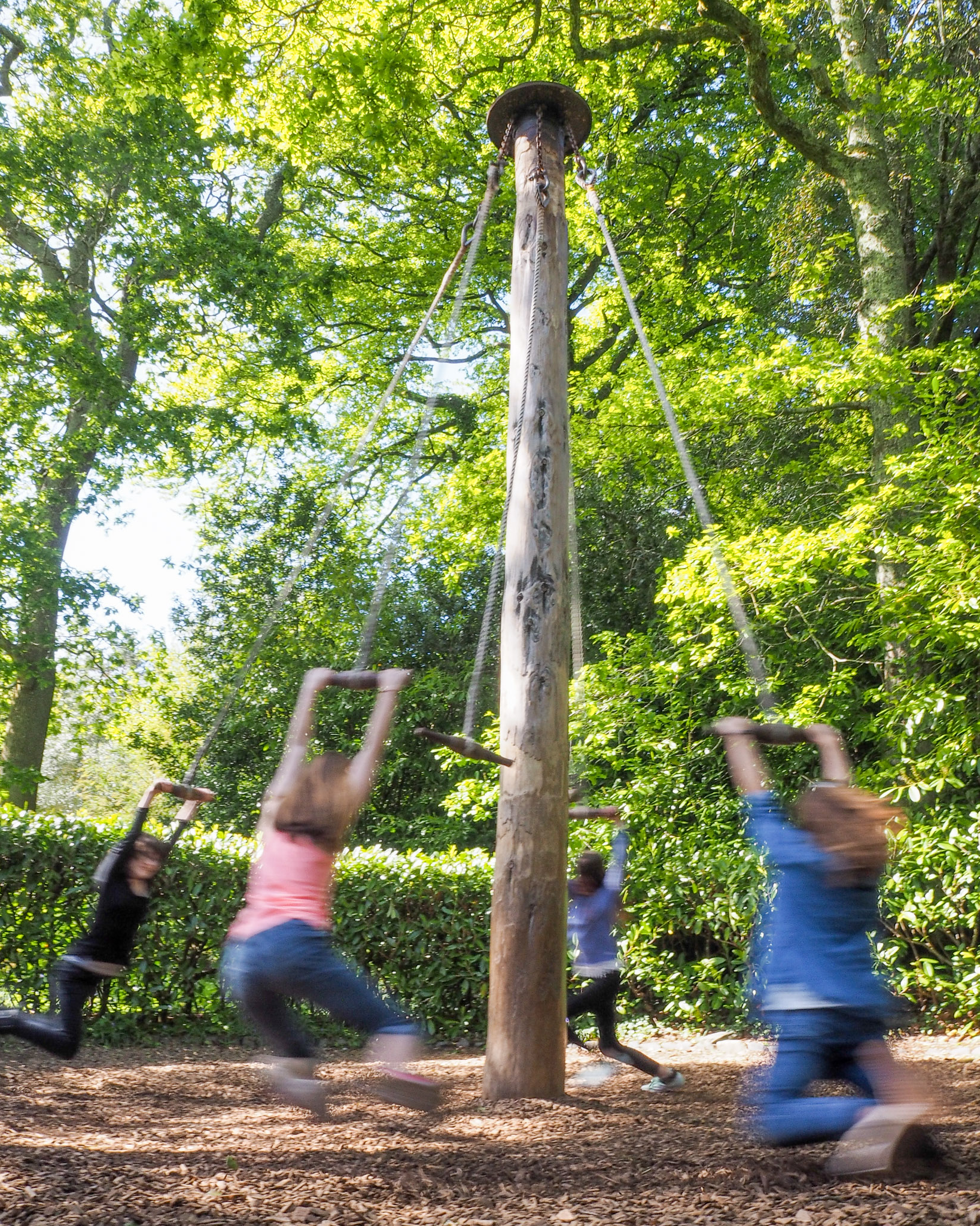 Four kids in motion playing on a giant wooden stride, on mulch, surrounded by a canopy of many trees, on a bright, sunny day