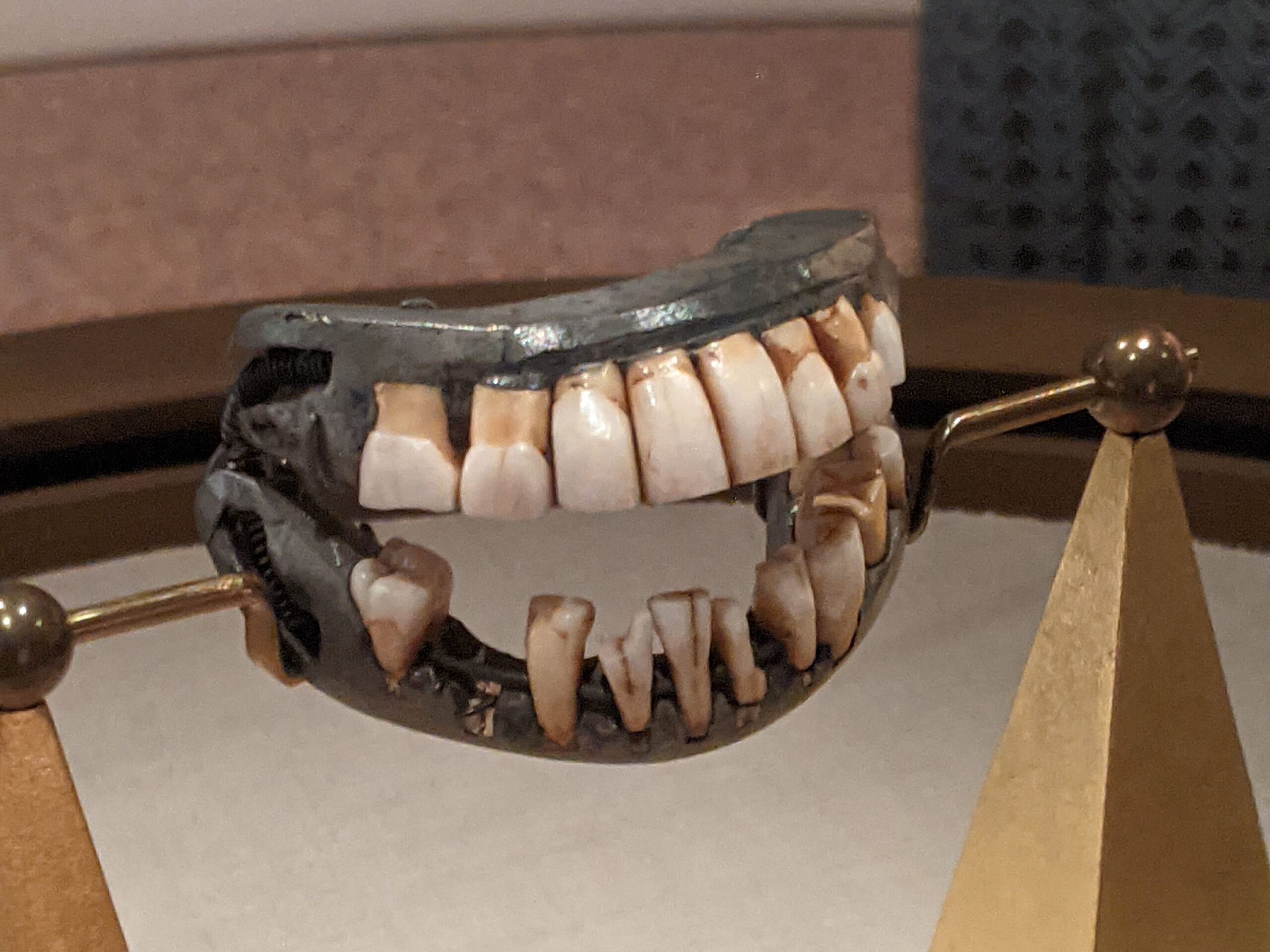 George Washington's dentures on display at Mount Vernon, Virginia in 2021
