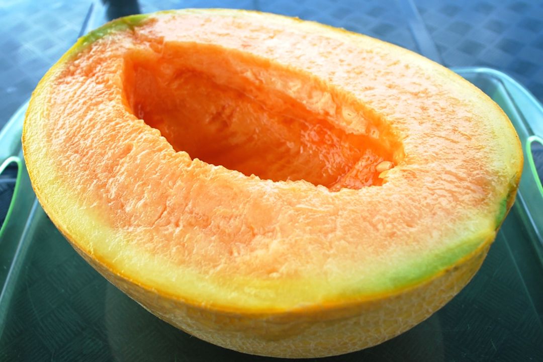 Japanese Melon