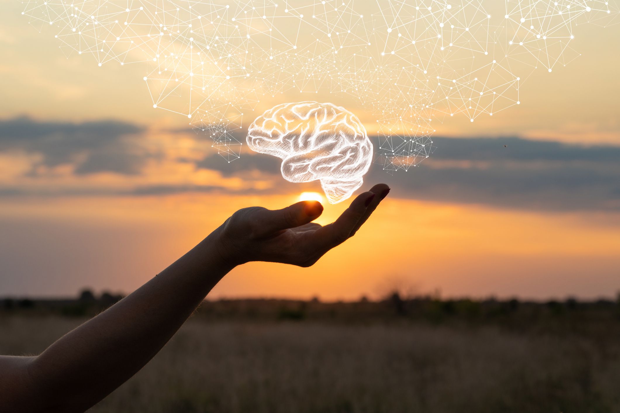 Shadowed hand holding a white brain image suspended in air with geometric shapes extending upwards against a blurred background of the sun setting in the plains