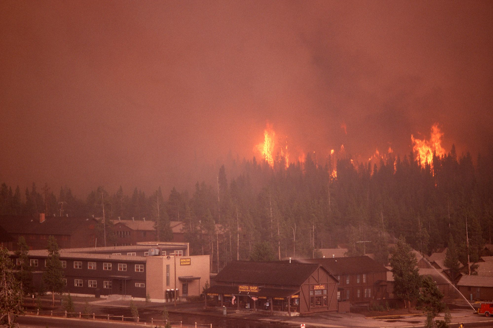 The 1988 Yellowstone Fires