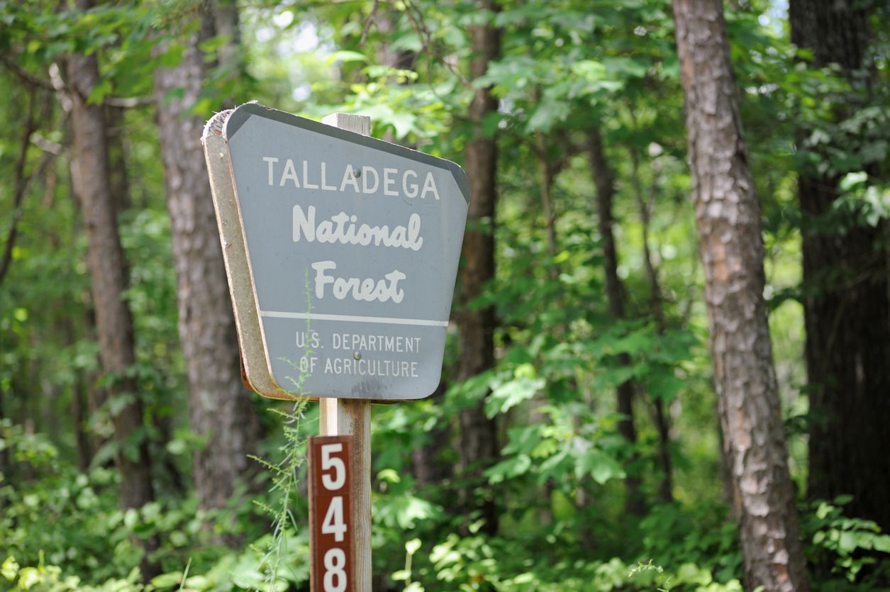 Talladega National Forest