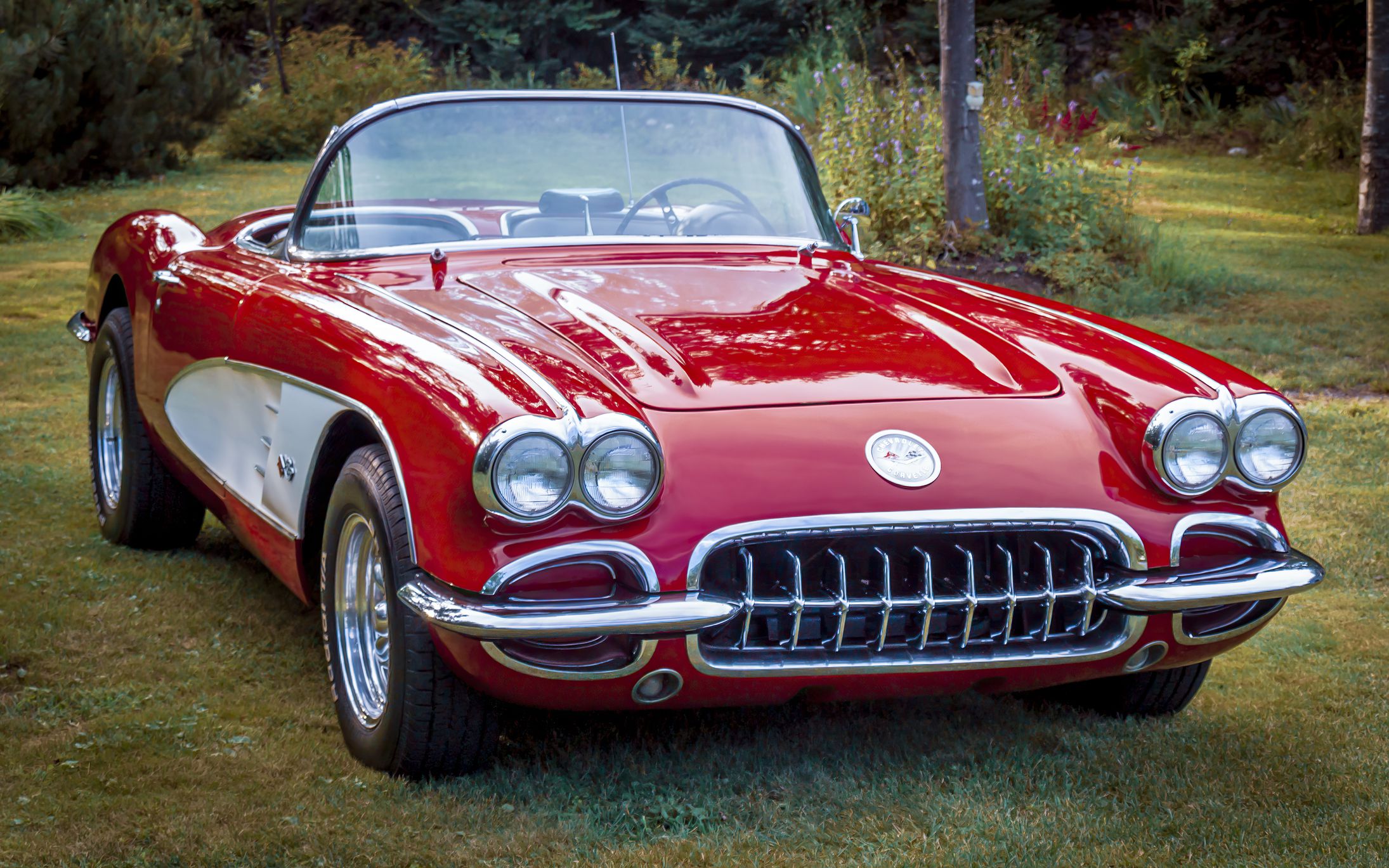 Halifax, Nova Scotia, Canada :August 12, 2007 : First generation Corvette, 1960 Chevrolet Corvette in residential backyard after a good polishing, Halifax, Nova Scotia, Canada.