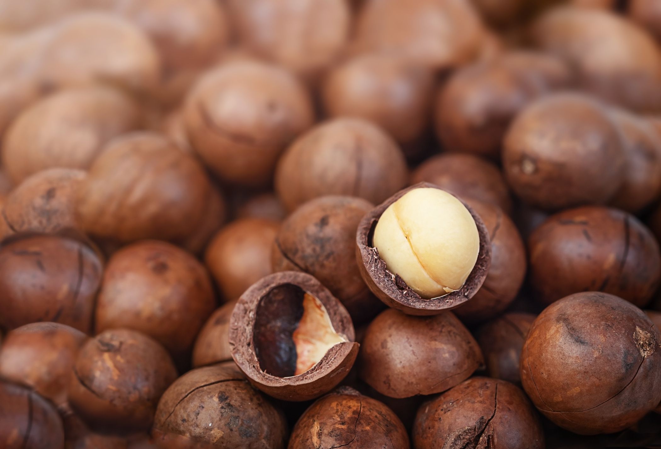 Macadamia nuts slide whole and chopped background