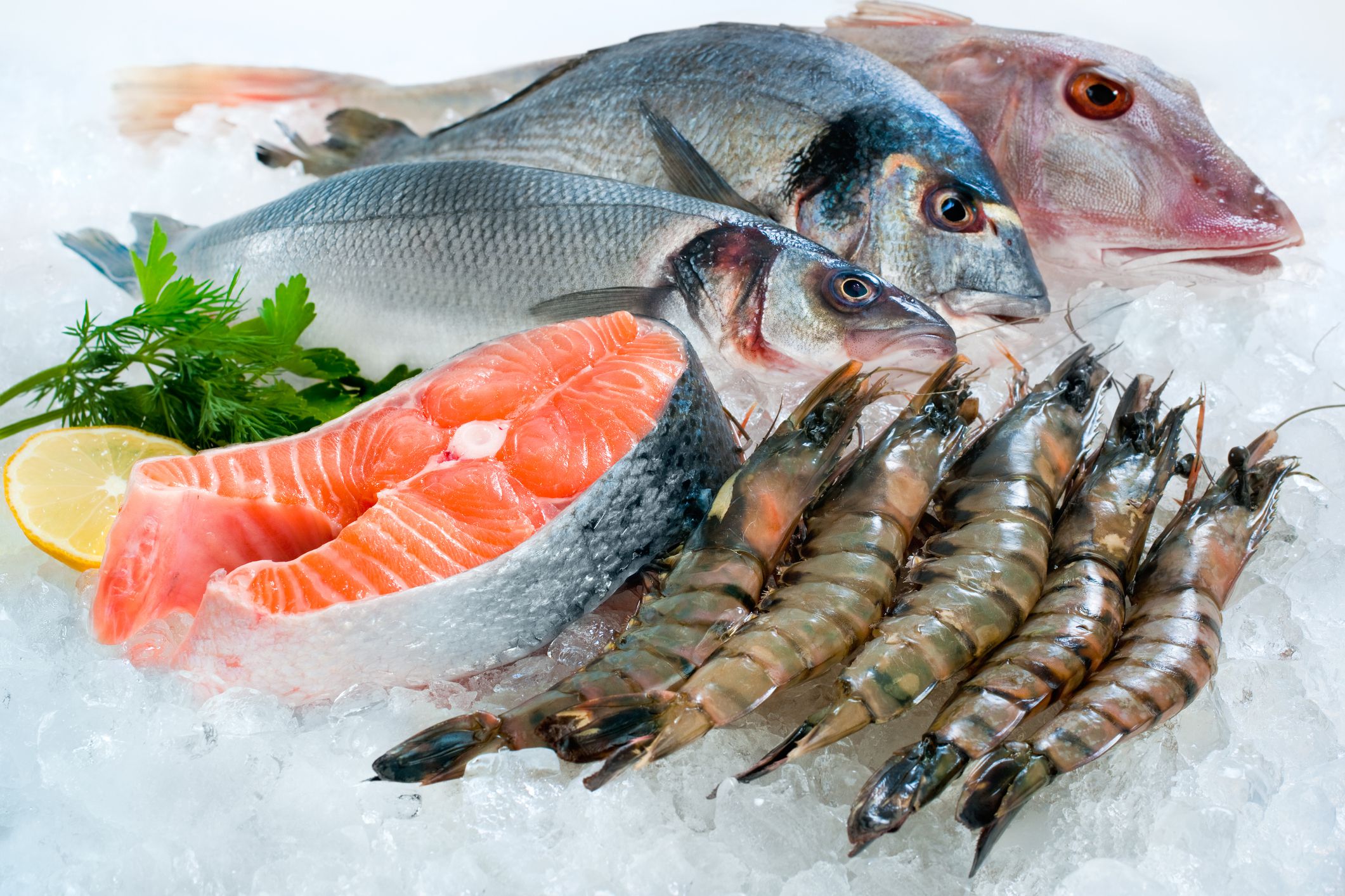Seafood on ice at the fish market